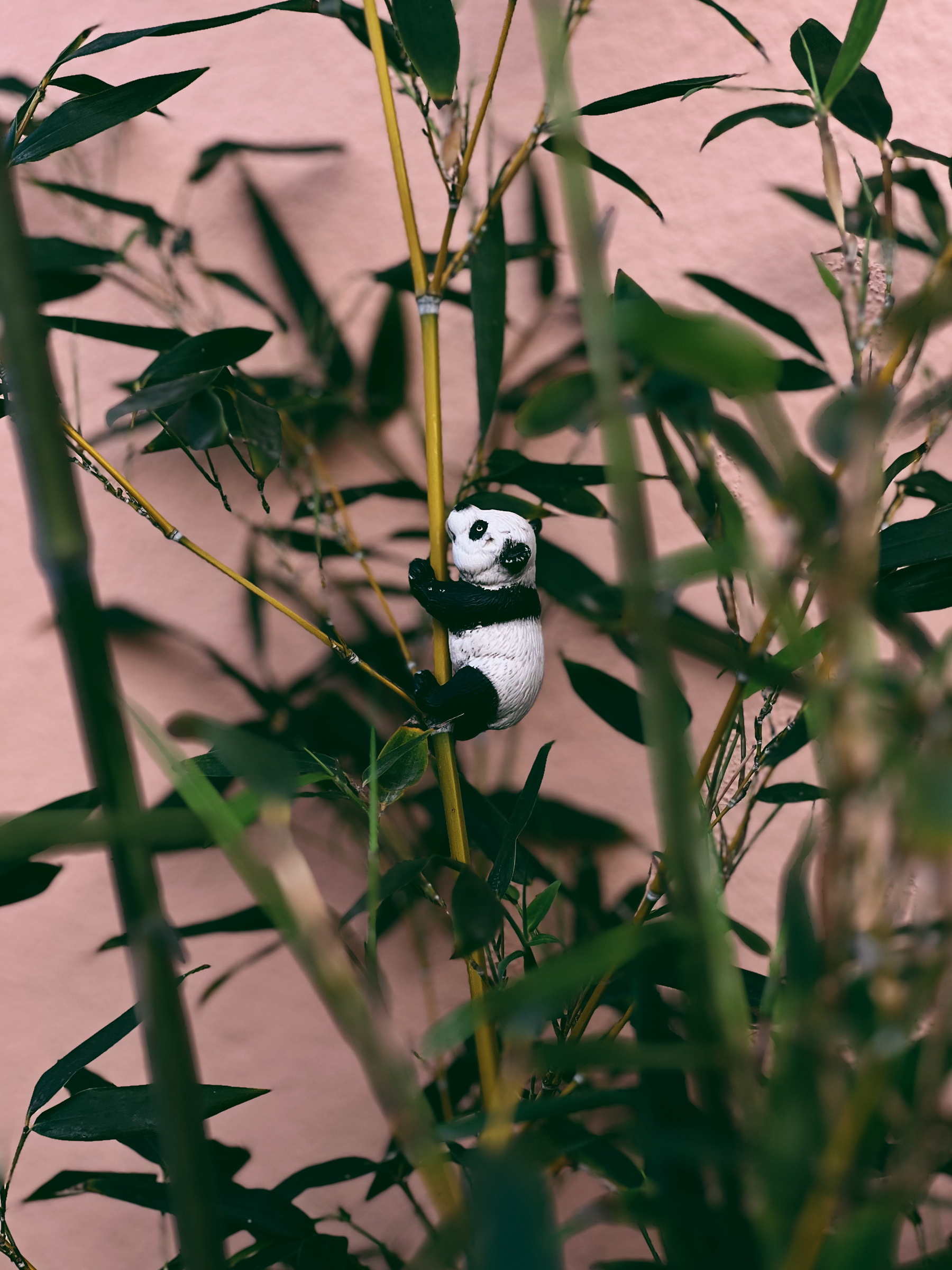 A toy panda climbs a bamboo