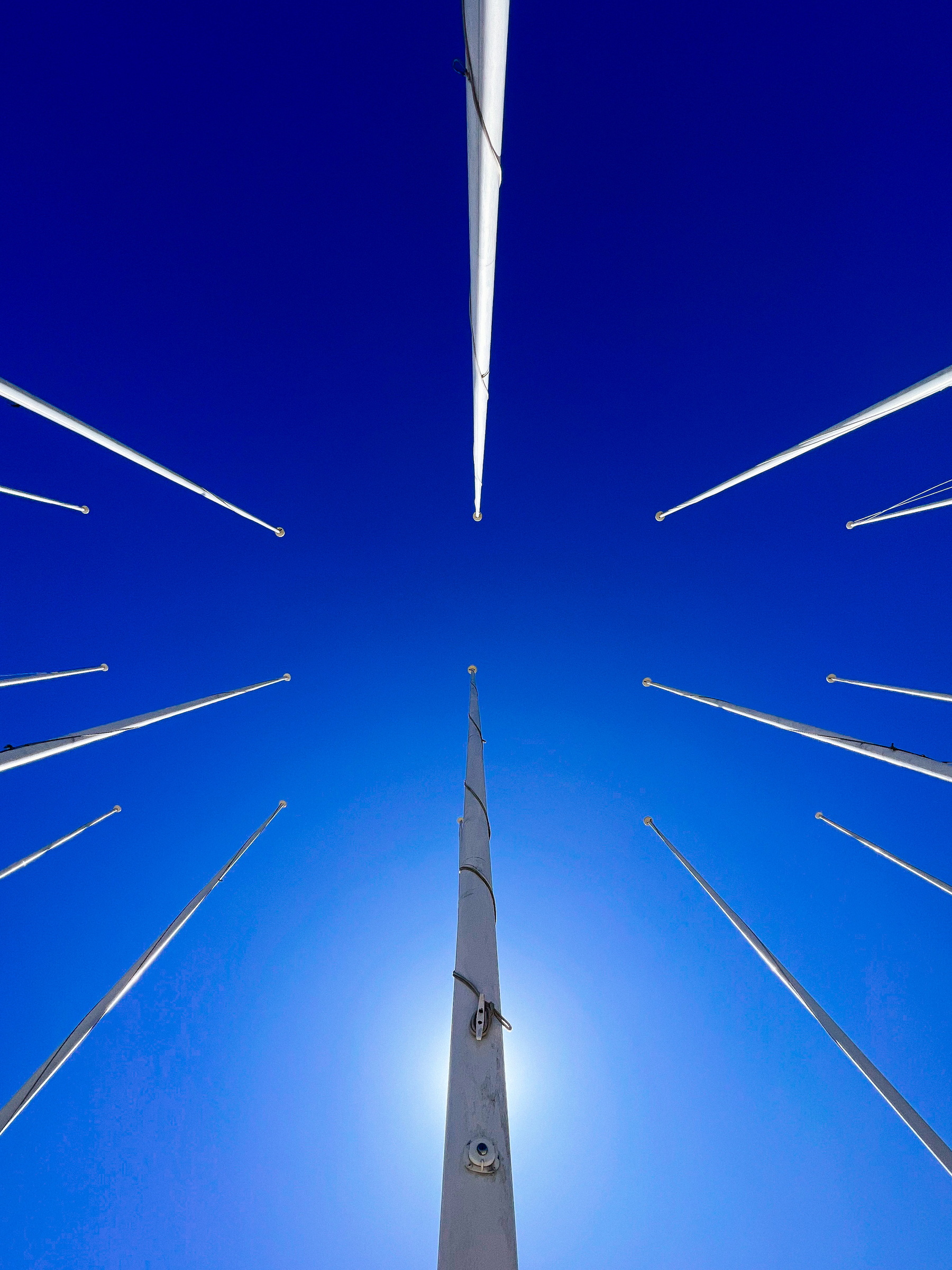 Looking up, in the middle of flag poles. 