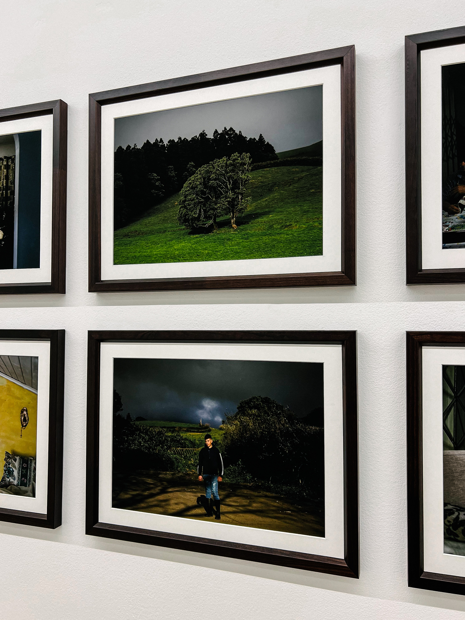 Photos on a wall, in an exhibition. 