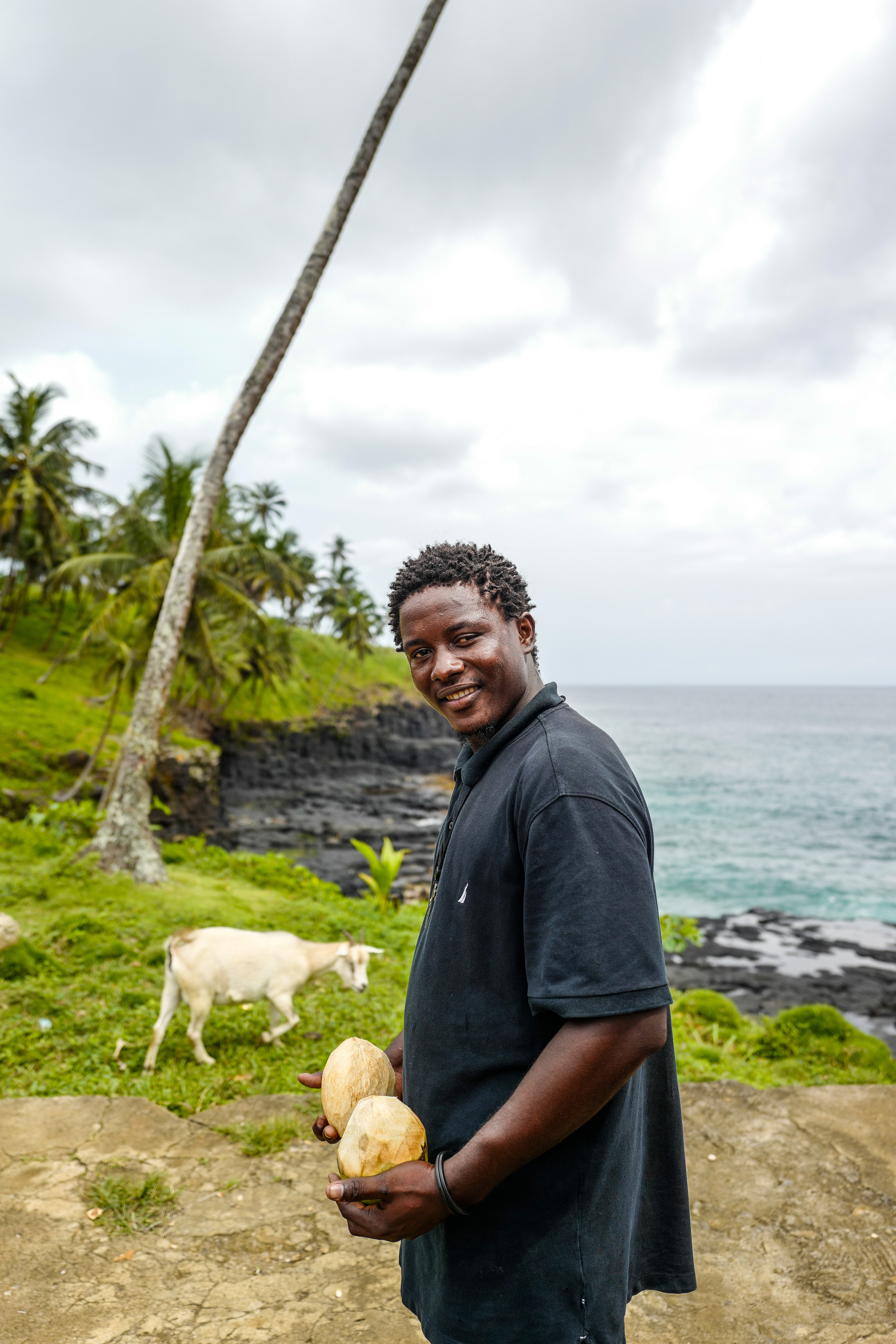 A coconut seller poses with two coconuts, while a goat walks by in the back. 