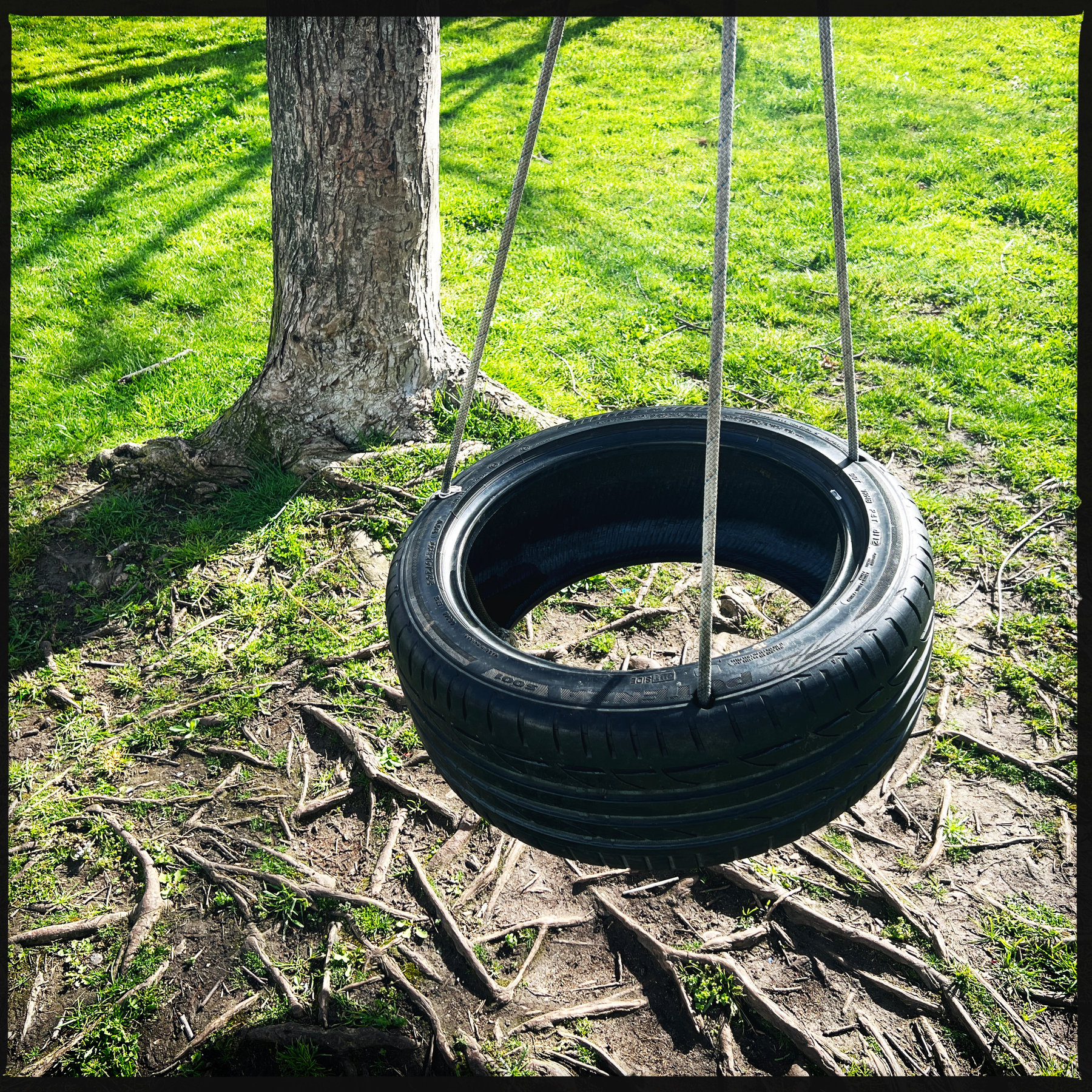 A tire swing.