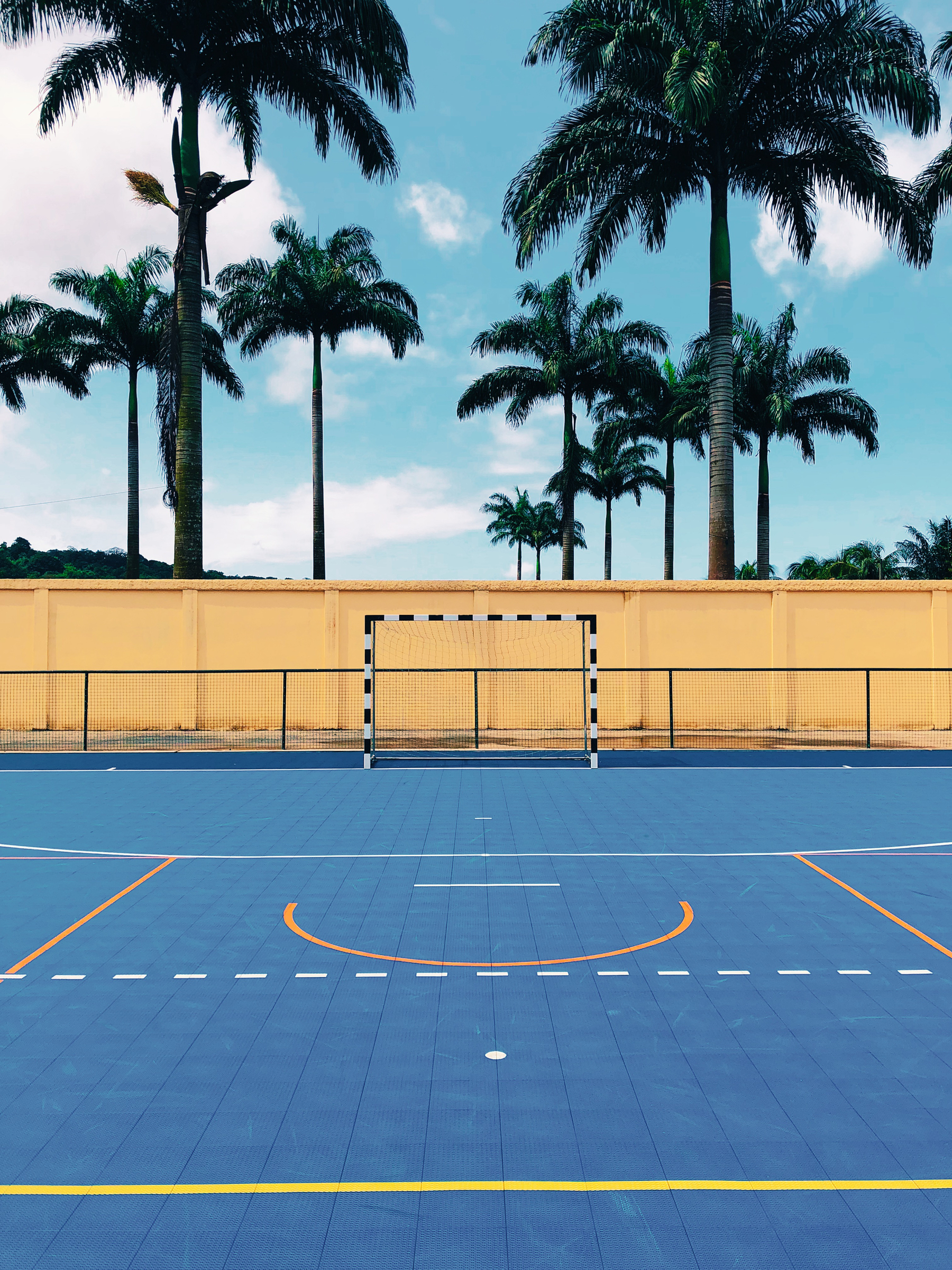 A field of palm trees behind a yellow wall. There is a goal and hand-ball court in the foreground. 