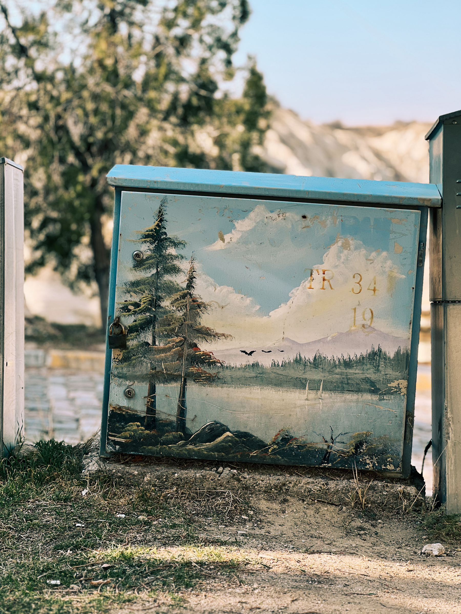 A mountain landscape painted on an electric box. 