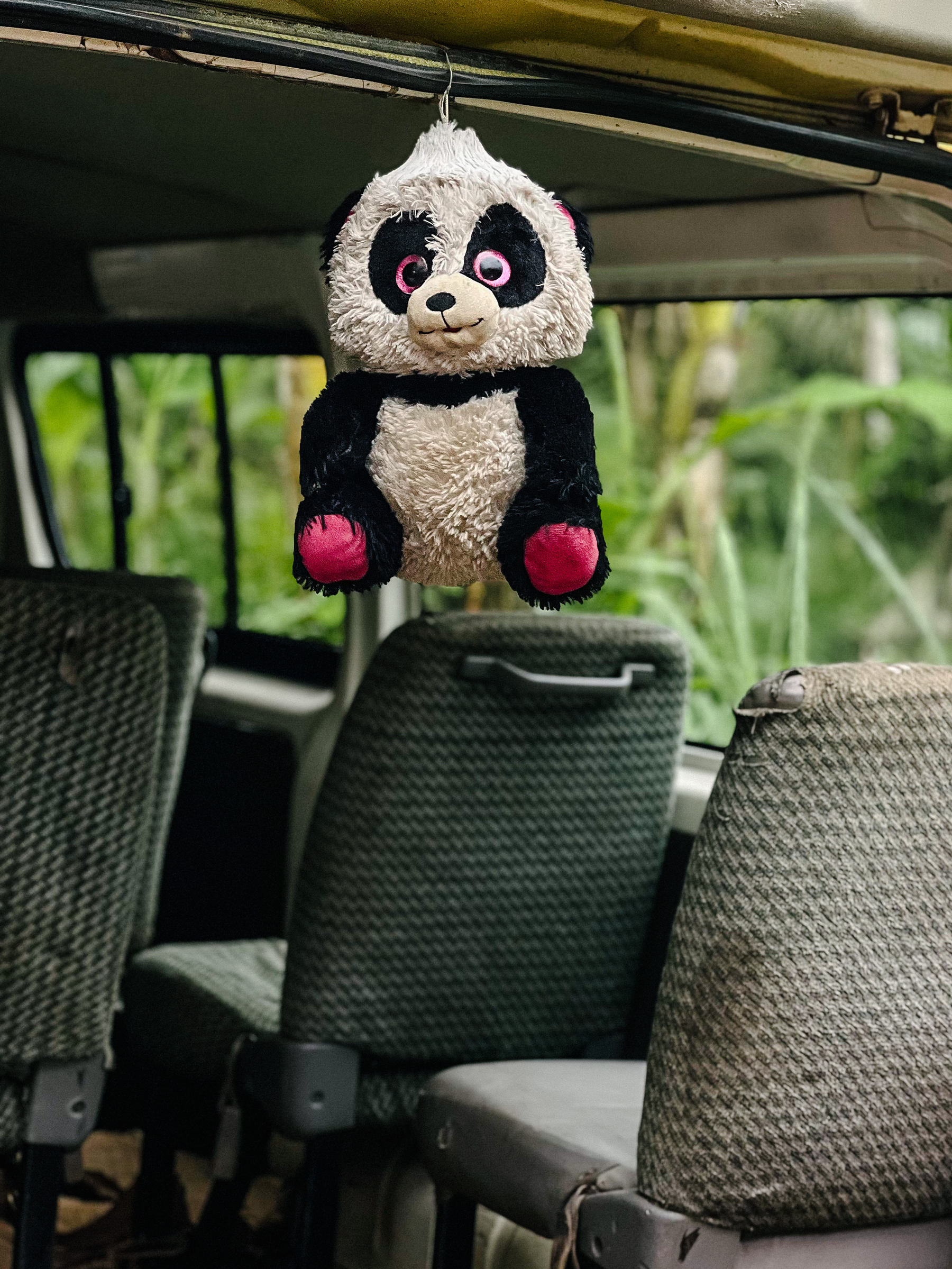 A stuffed panda hangs from the back of a taxi van. 