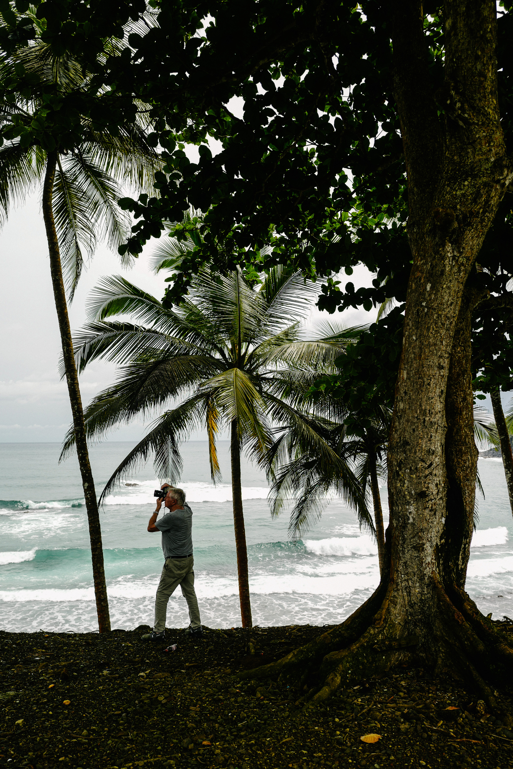 A photographer at work in a tropical landscape. 