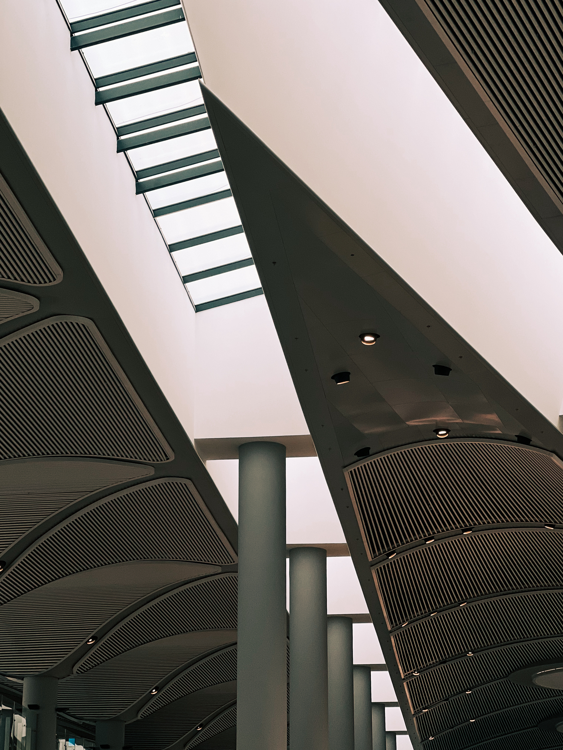 Interior architecture featuring a skylight, angled beams, cylindrical columns, and curved ceiling panels.
