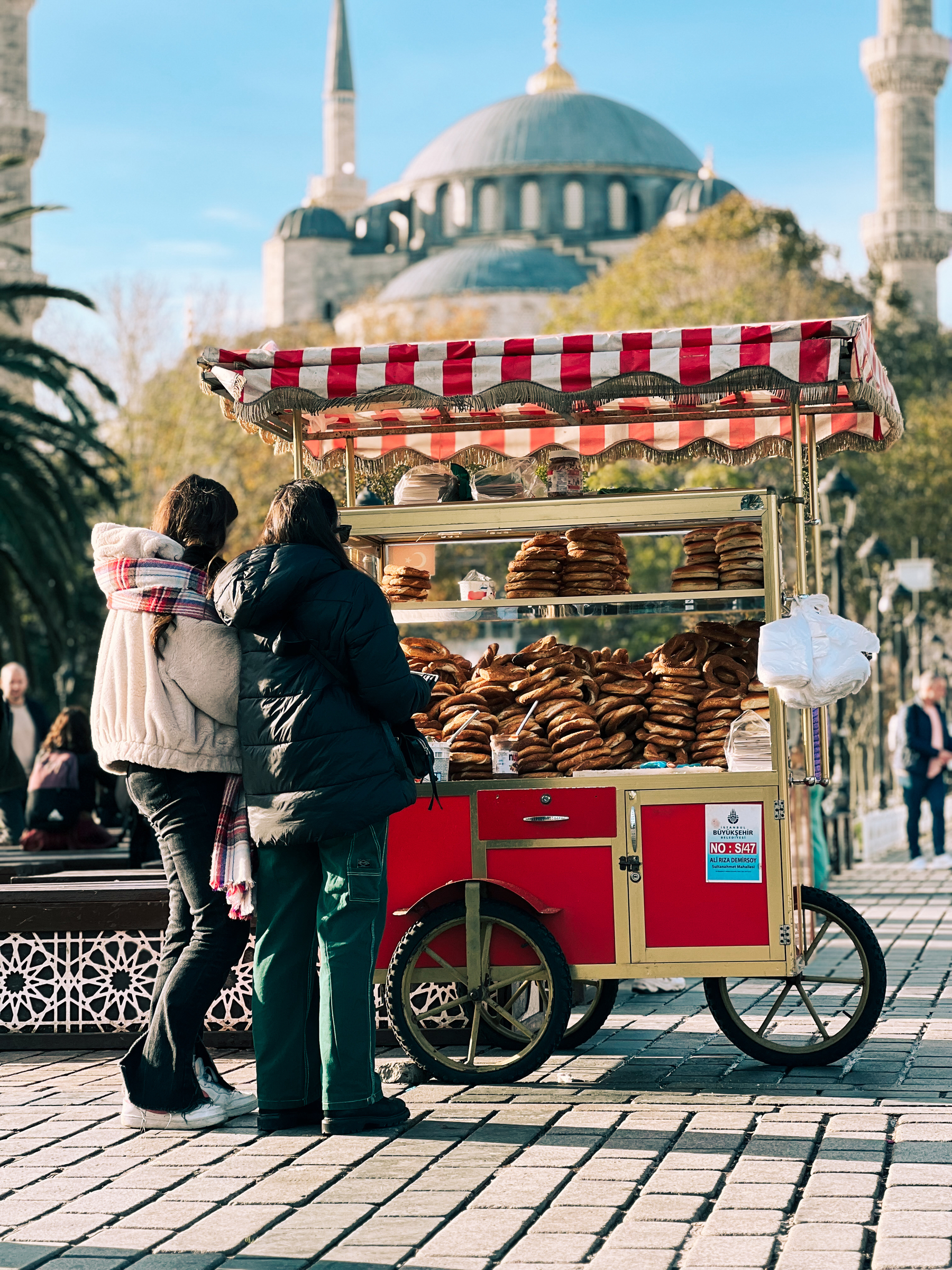 Blue Mosque, and a food cart. 