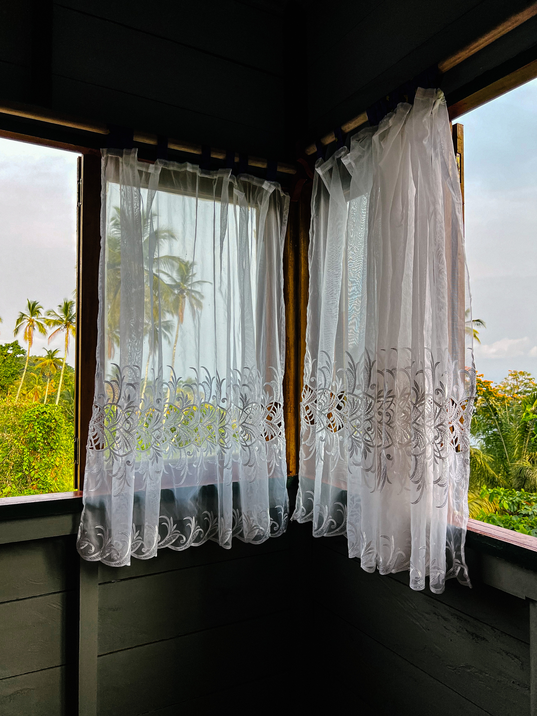 A curtain in a room. Palm trees visible on the outside. 