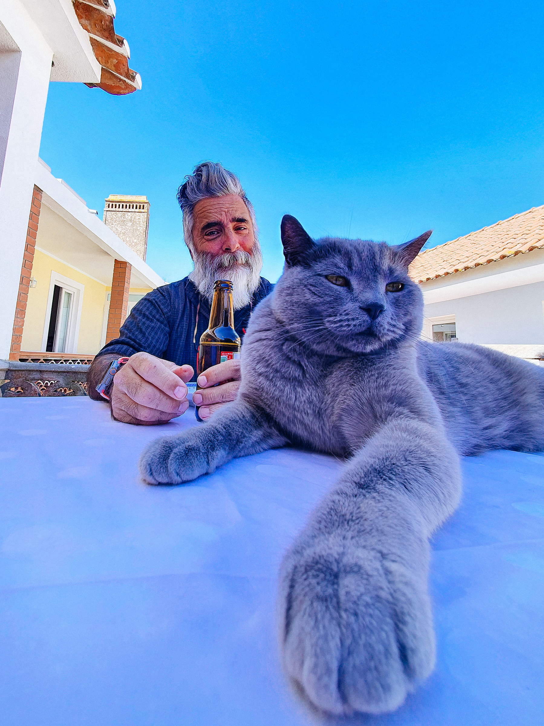 A cat in the foreground, with a bearded man holding a beer in the background. 