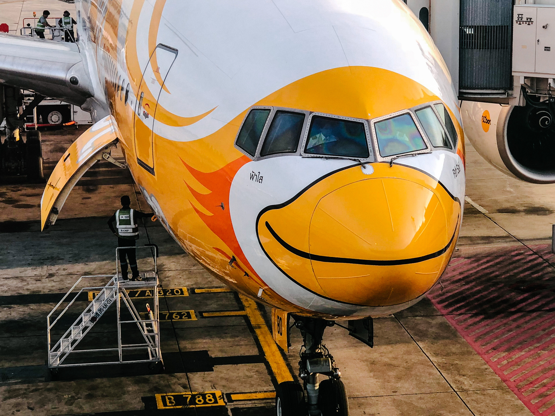 An airplane with a beak painted on the nose. 
