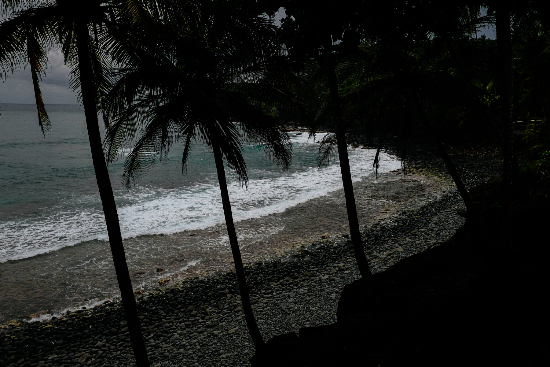 Looking down at the sea, a beach with rocks instead of sand. A few palm trees. It’s dark. 