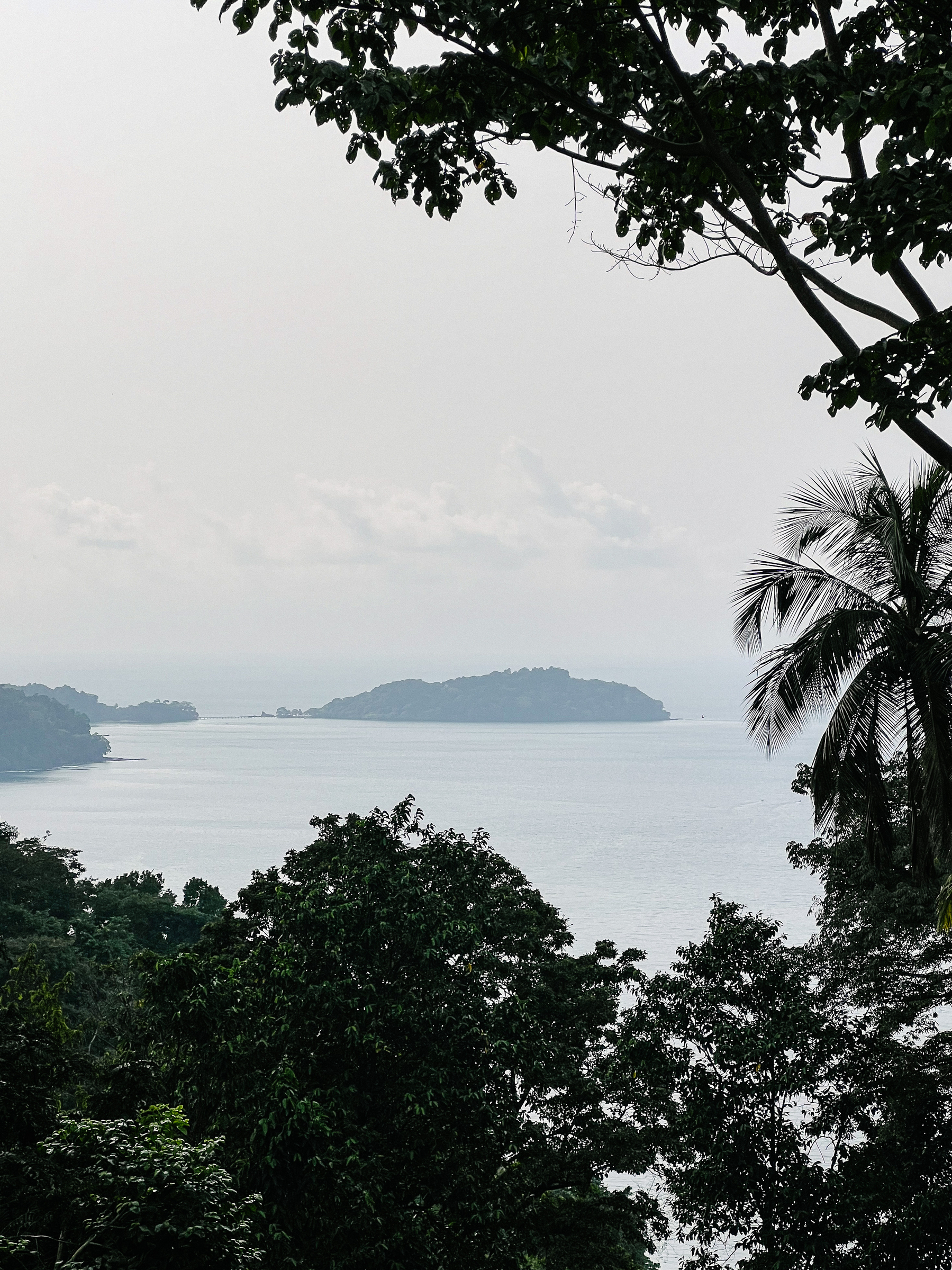An islet is seen in the distance, with trees on the foreground. 
