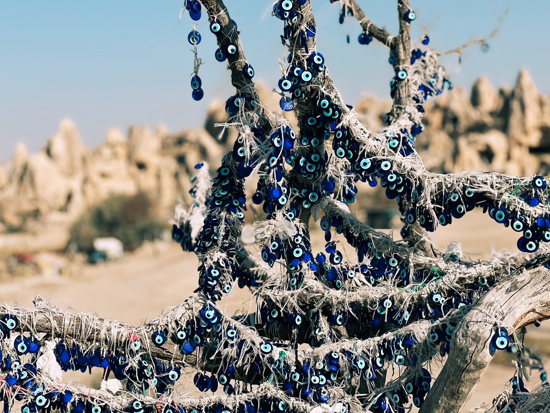 A tree adorned with numerous blue evil eye amulets, set against a backdrop of rocky terrain.