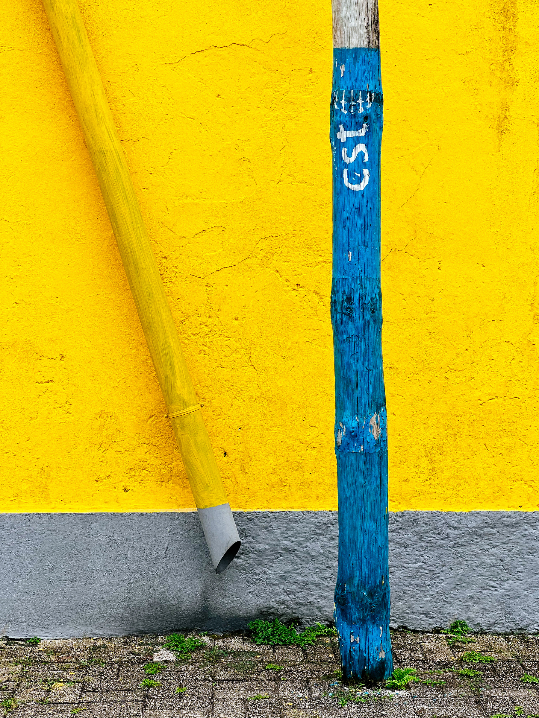 A yellow wall and a telephone pole painted in blue, with the letters “cst” on it. 