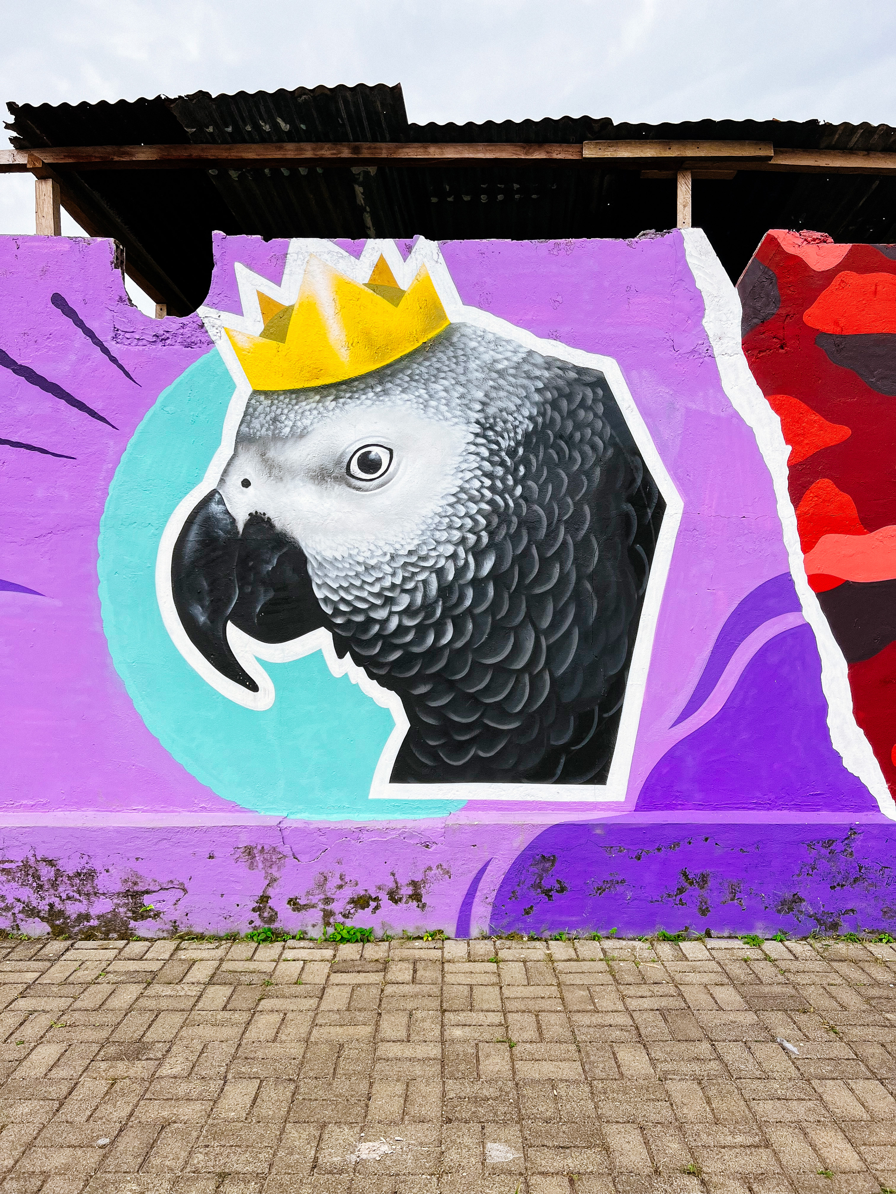 Street art piece, a graffiti of a African parrot with a crown on his head. 