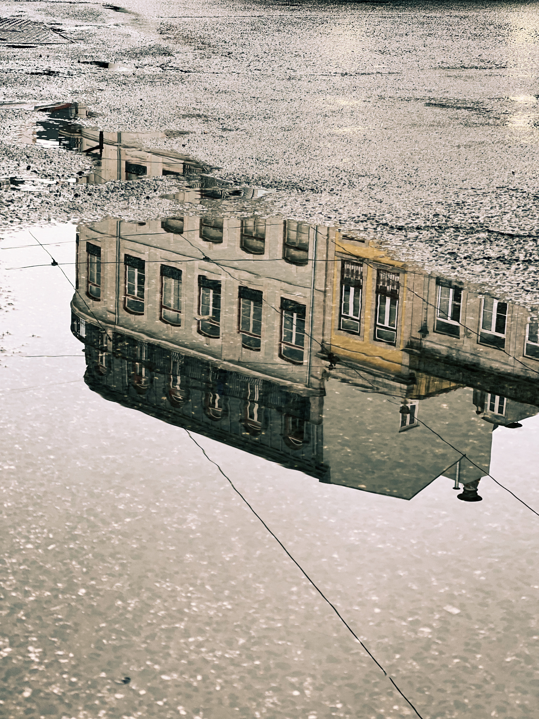 Puddle reflection of a building. 
