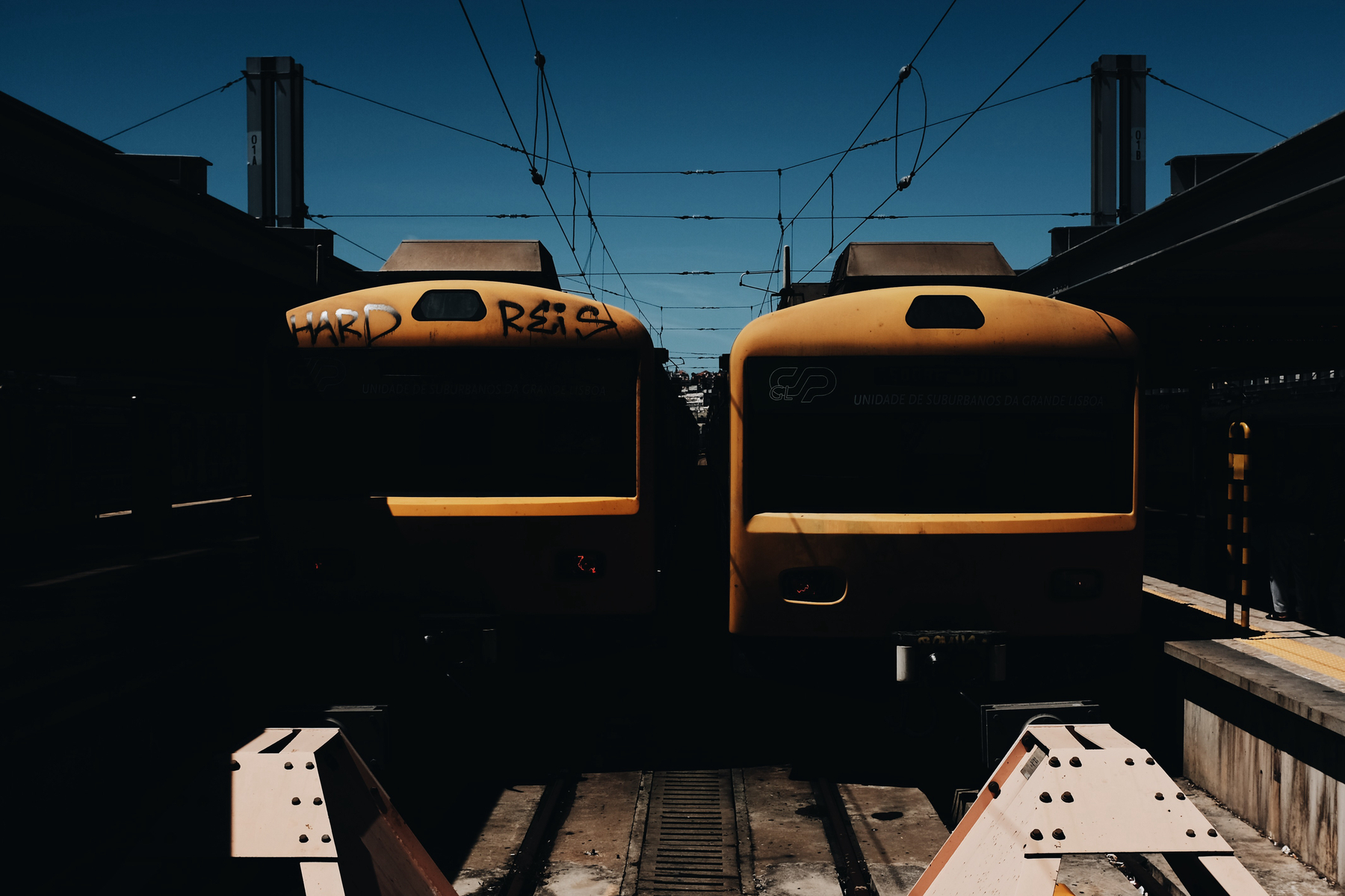 A couple of trains parked at the station.
