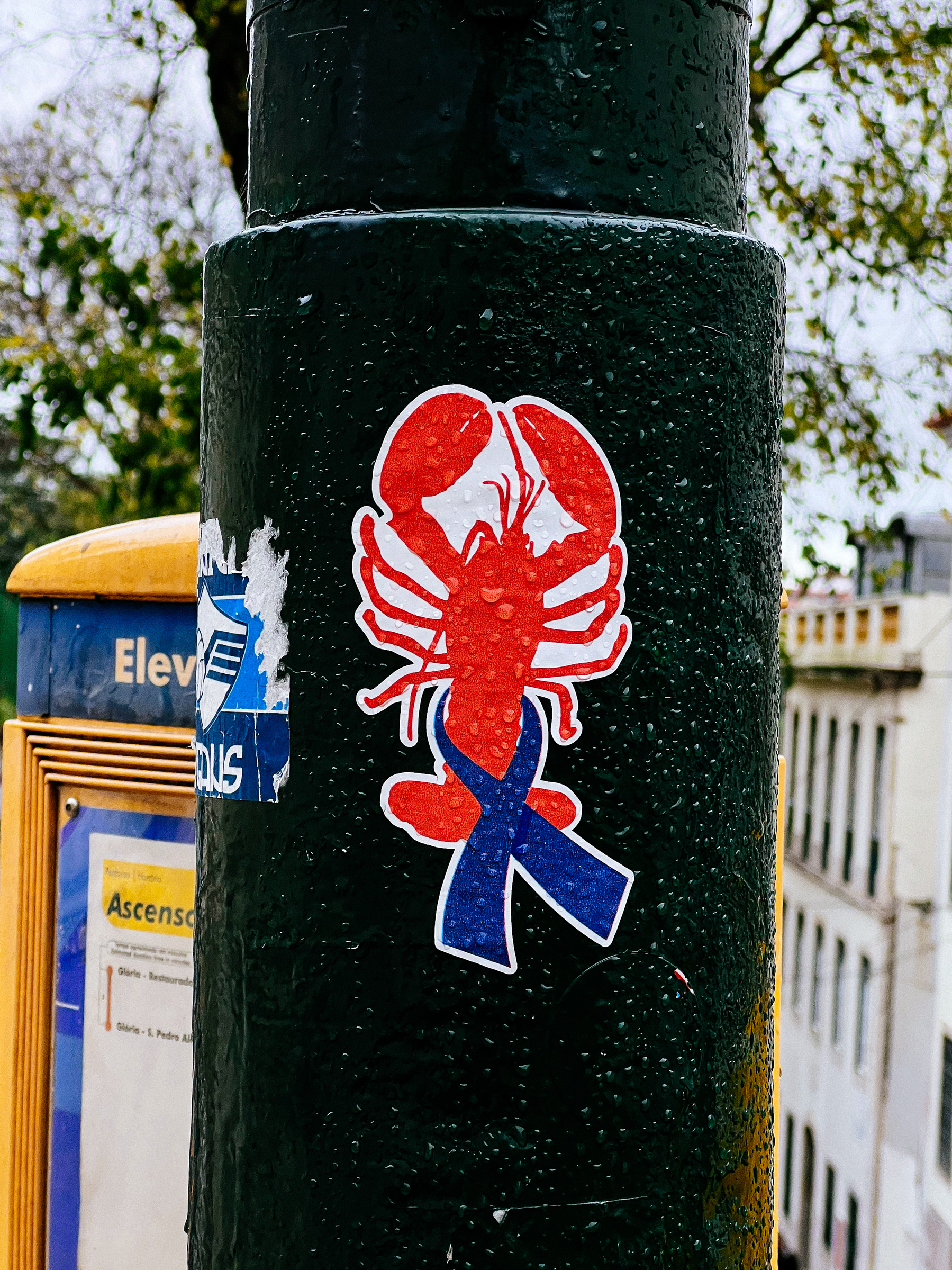 A lobster with a blue ribbon. A sticker. 
