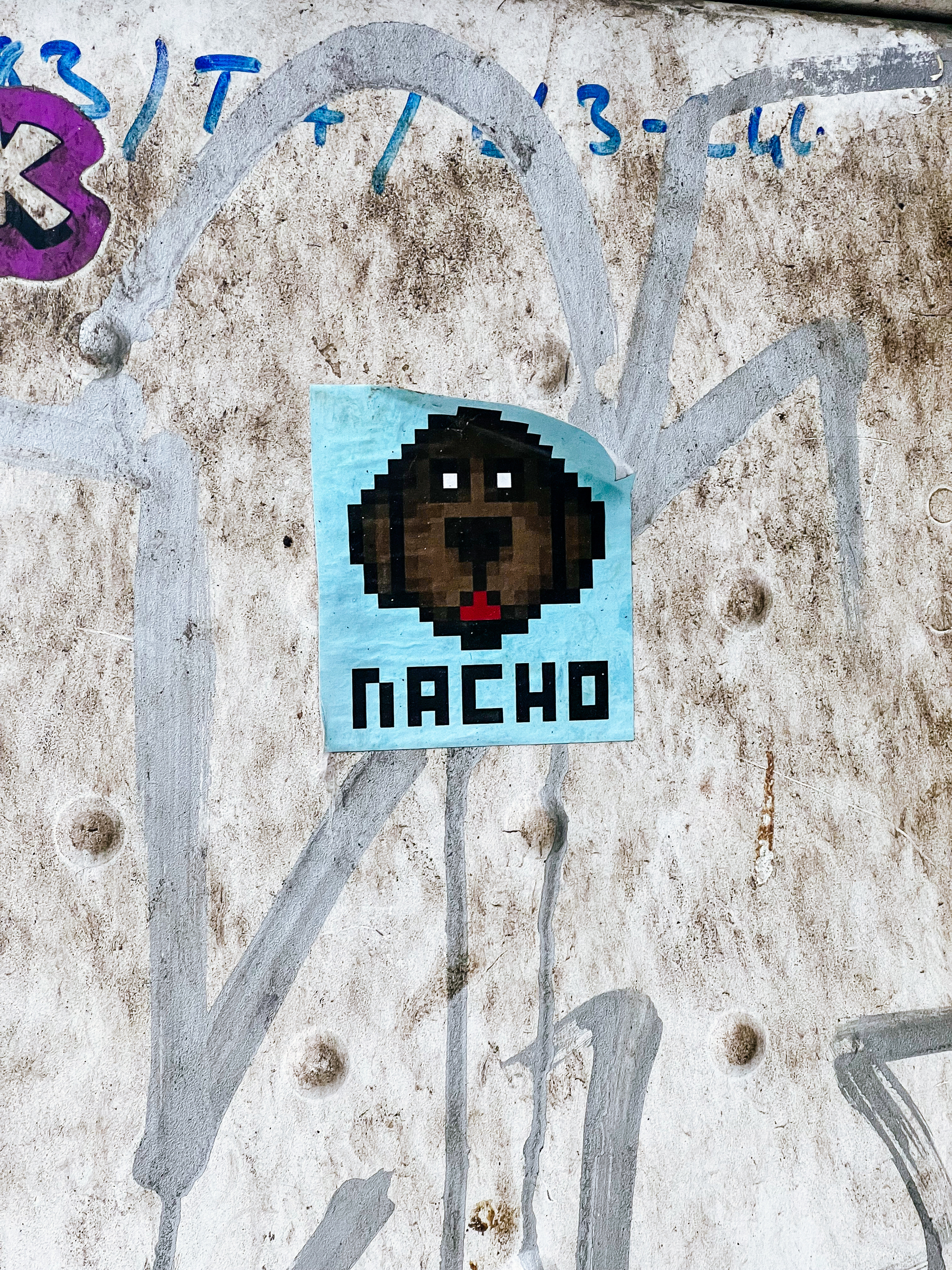 A pixel art dog, “Nacho”. It’s a sticker. 