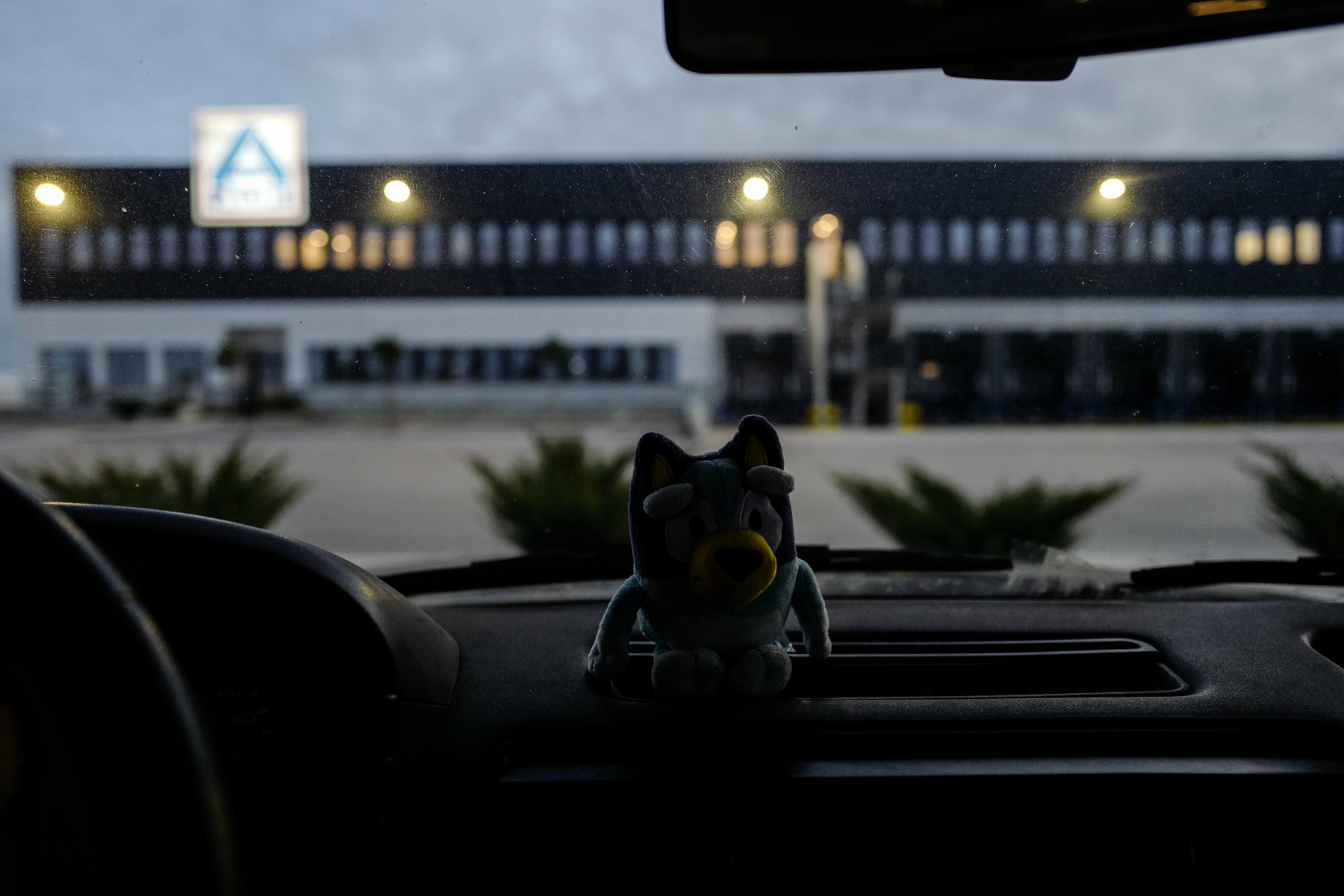 A small Bluey toy sits on the dashboard of a car, with a blurred building and lights in the background during dusk or early evening.
