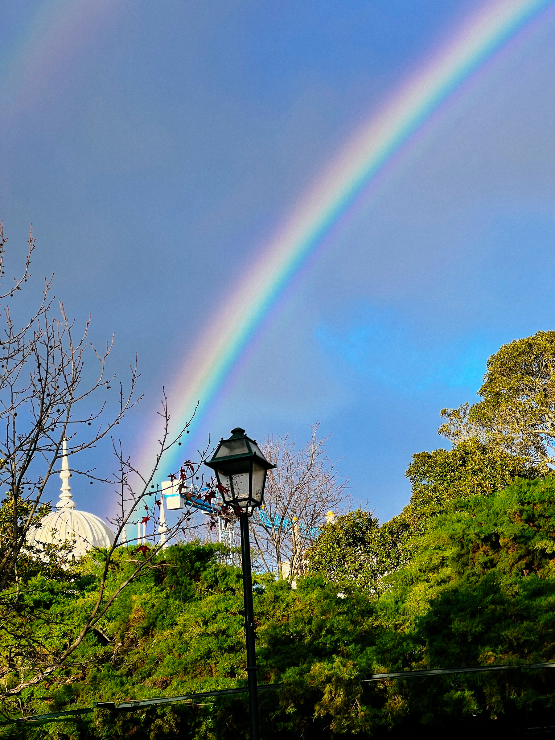 A rainbow in a blue sky with clouds, above green trees and a classic street lamp in the foreground. The dome of a building is partially visible behind the foliage.