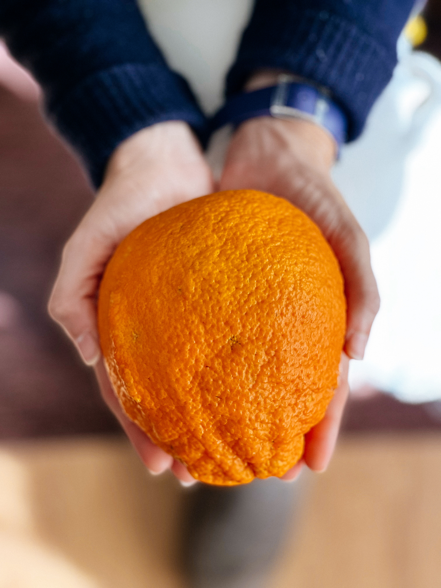 A person&rsquo;s hands holding a giant orange with a blurred background.