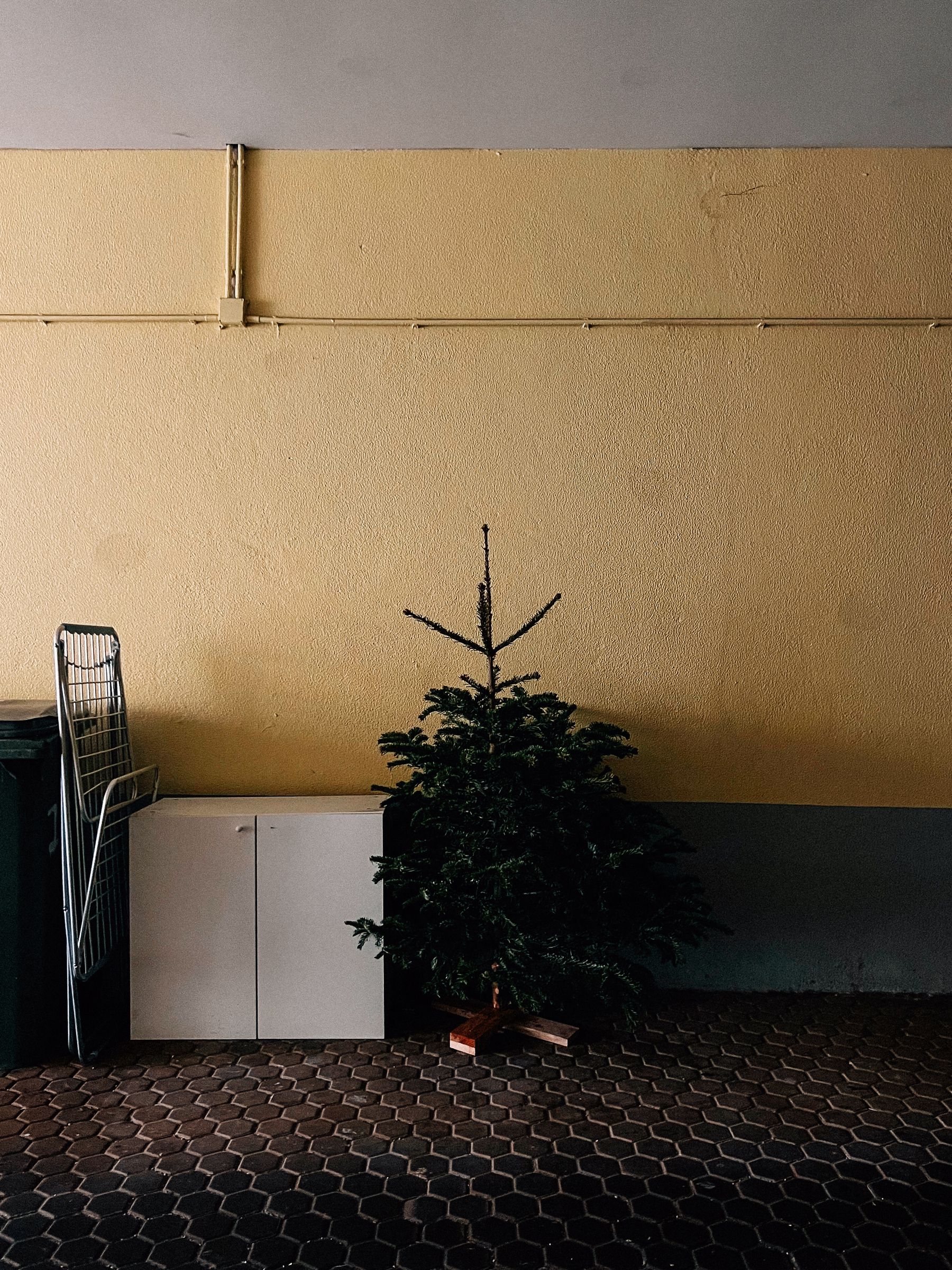 A Christmas tree in a corner, against a textured wall and hexagonal floor tiles.