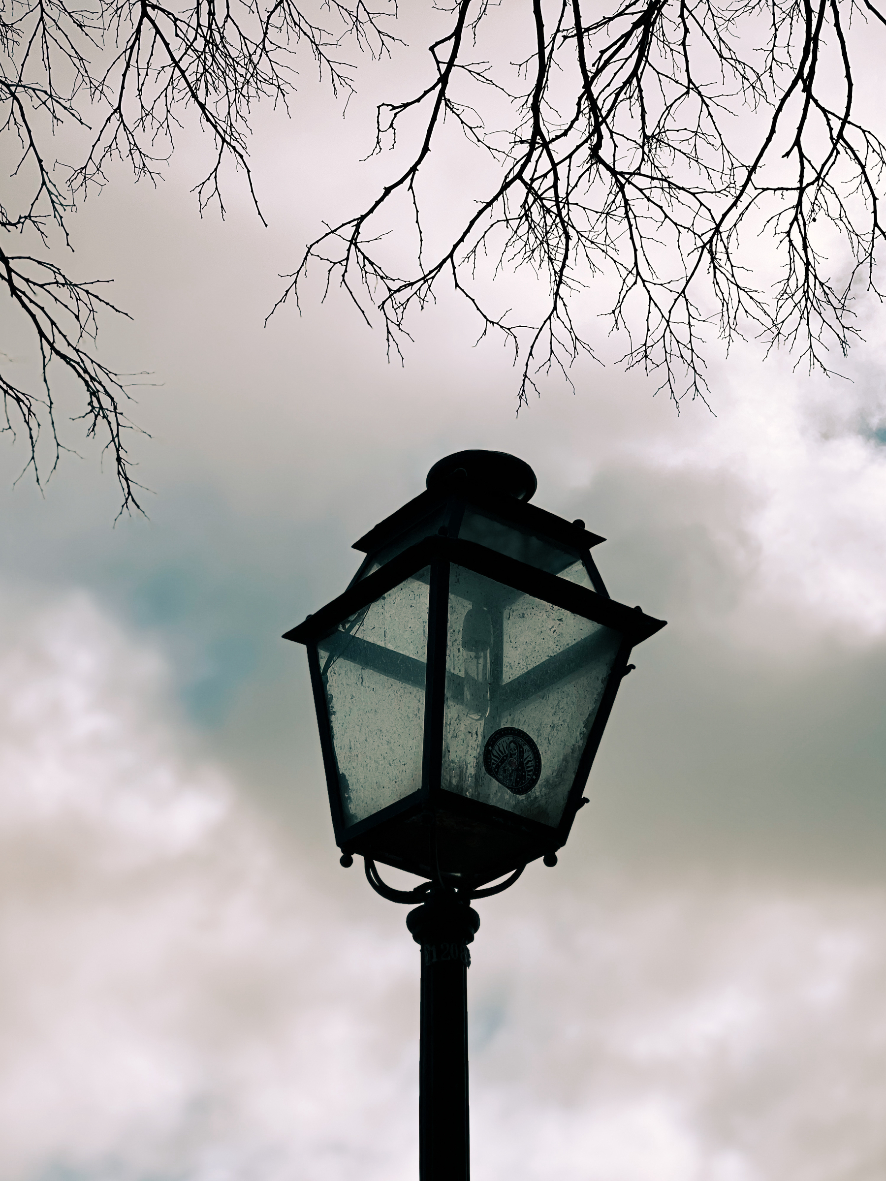 A vintage street lamp against a cloudy sky, framed by bare tree branches.