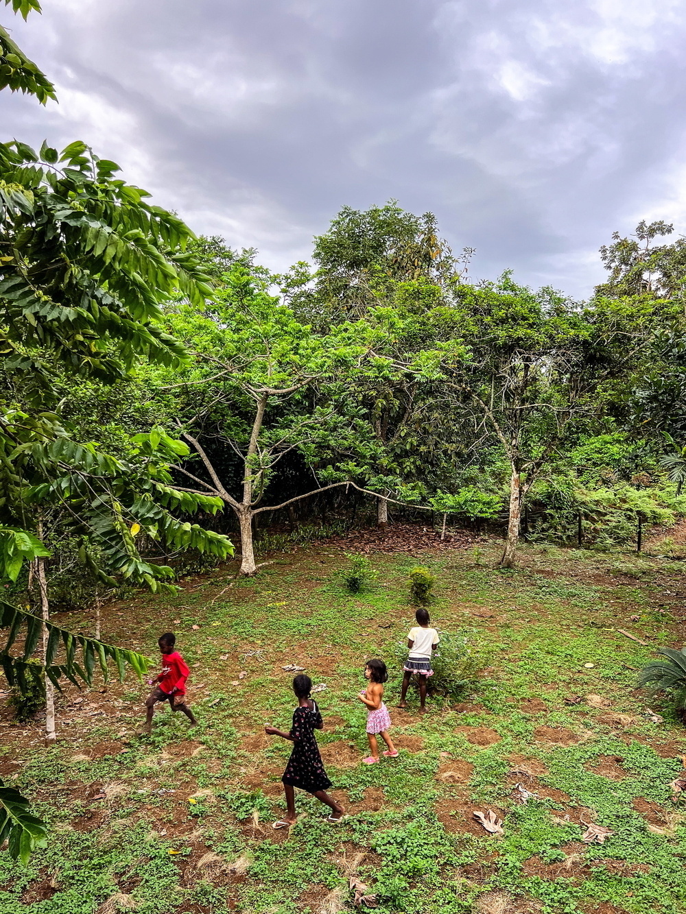 Children playing on a grassy field surrounded by lush green trees. The sky is overcast with gray clouds.