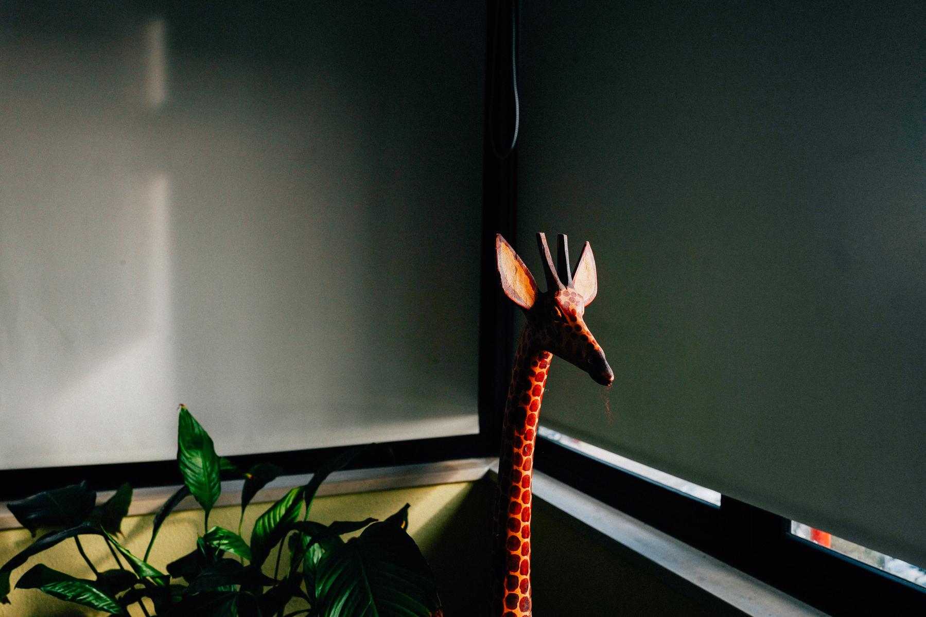 A wooden giraffe figurine stands near a window, partially illuminated by sunlight, with houseplants in the foreground and a dark grey wall in the background.