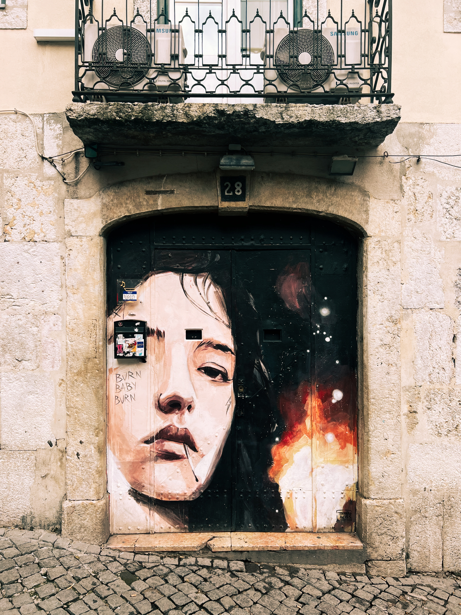 A street art mural painted on a door depicting a woman&rsquo;s face with a match stick, alongside fiery imagery and the words &ldquo;BURN BABY BURN.&quot;