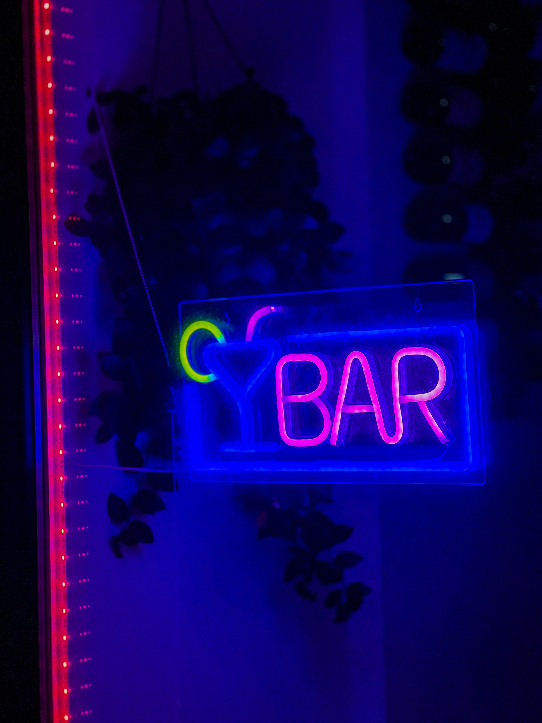 Neon sign reading &ldquo;BAR&rdquo; in pink and blue colors, hung on a window with red LED strip lighting along the edge and a silhouette of hanging foliage in the background.