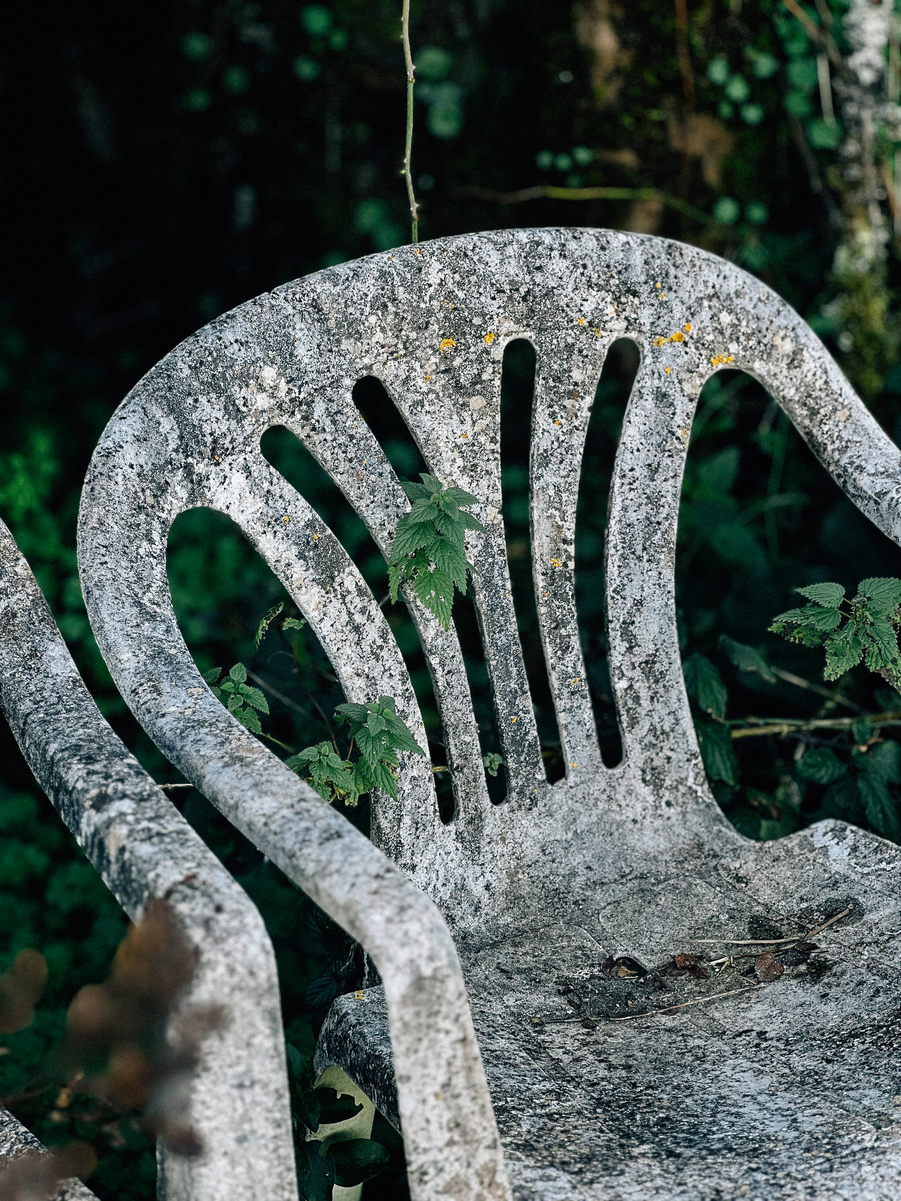 A weathered plastic chair with lichen and moss growth, surrounded by green foliage, indicating neglect and exposure to the elements.