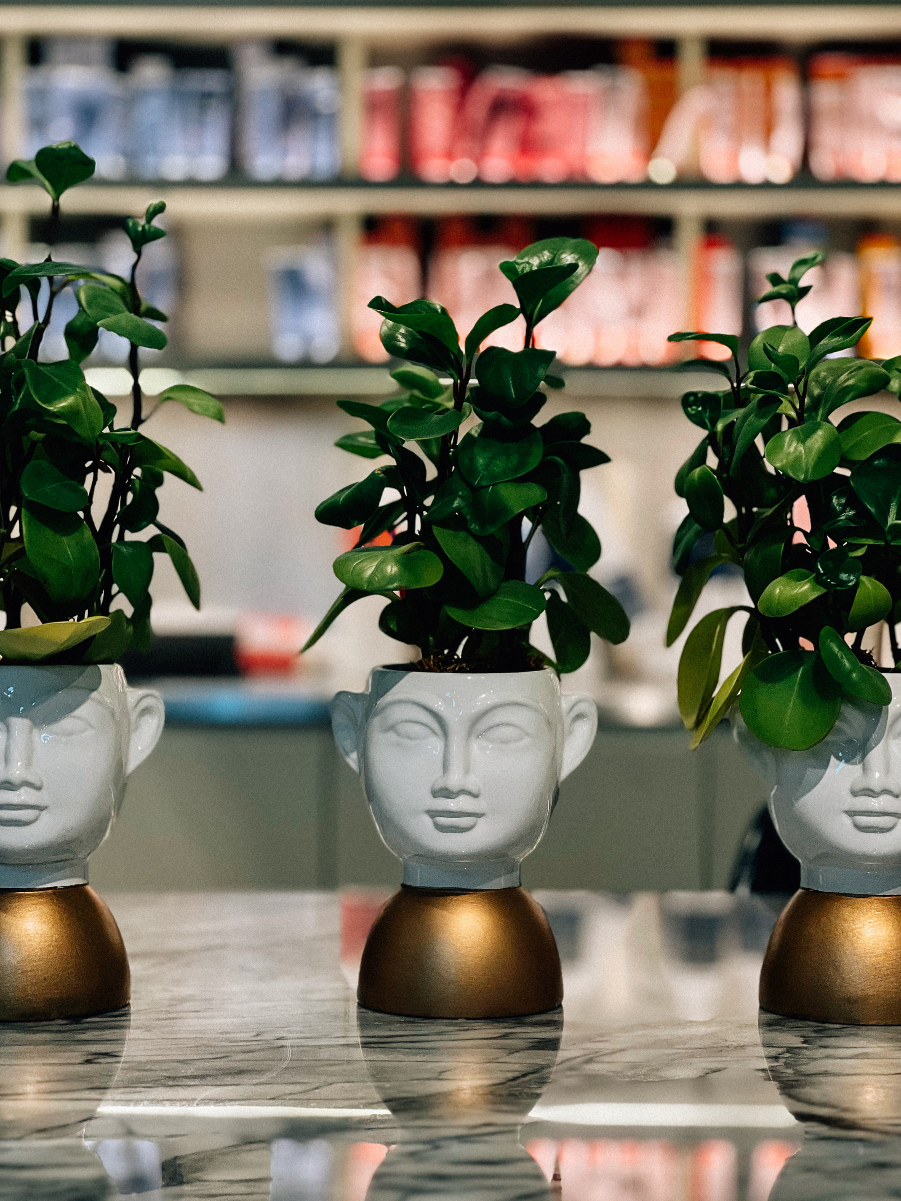 Potted green plants growing from ornamental head-shaped planters on a marbled surface, with blurred shelves of colorful products in the background.
