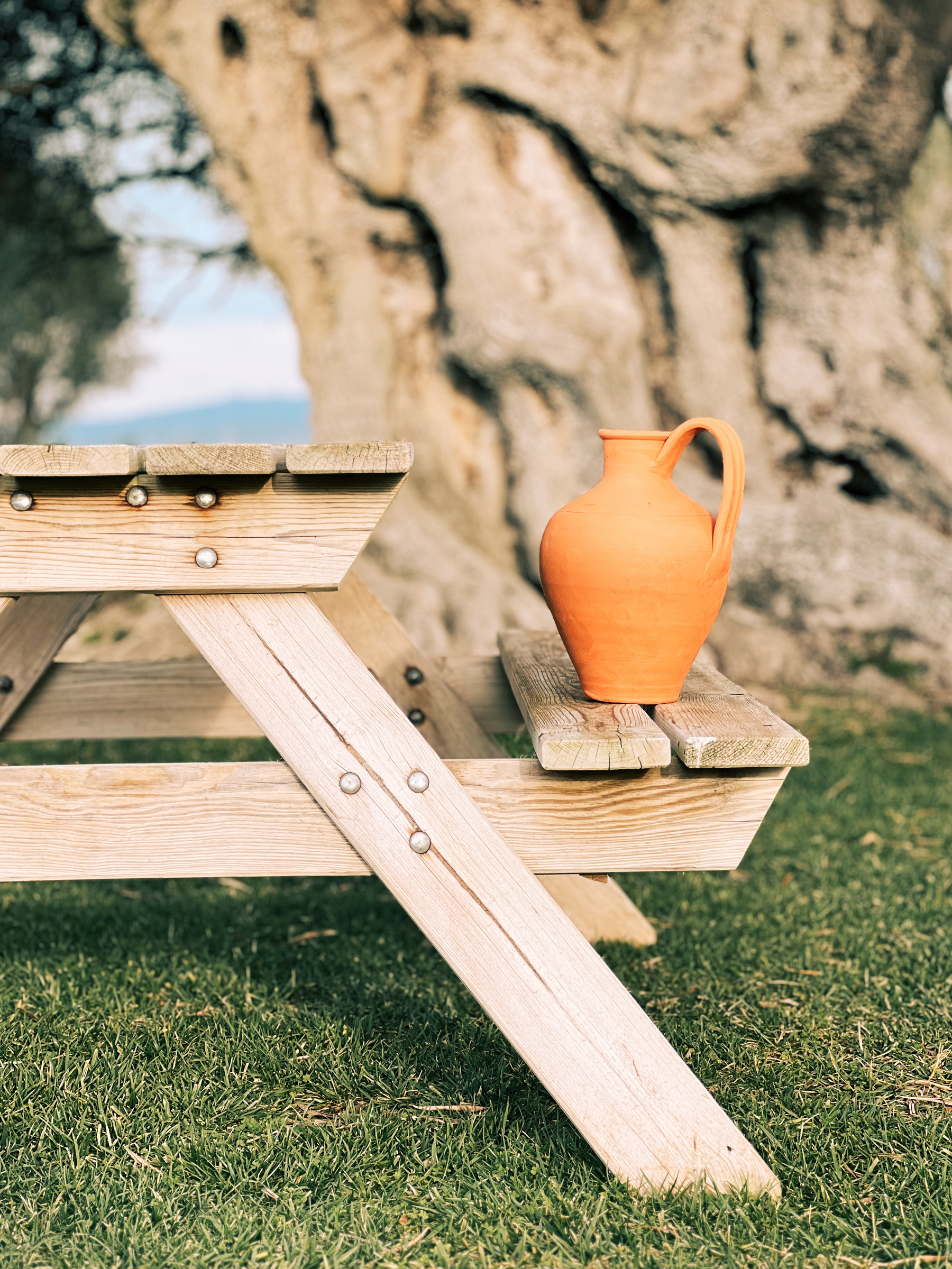 An orange terracotta pitcher placed on a wooden picnic bench with an old olive tree trunk in the background.