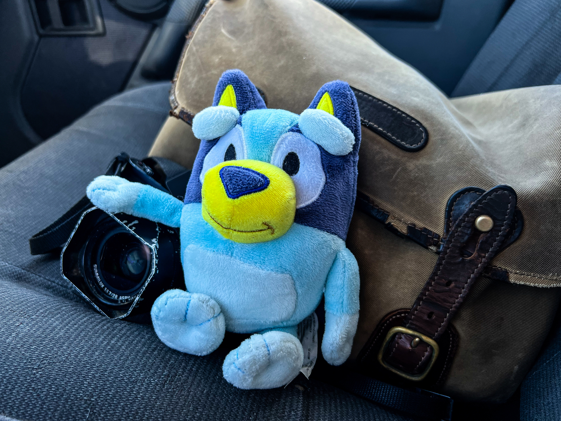 A plush Bluey sitting next to a camera on a beige canvas bag inside a car.