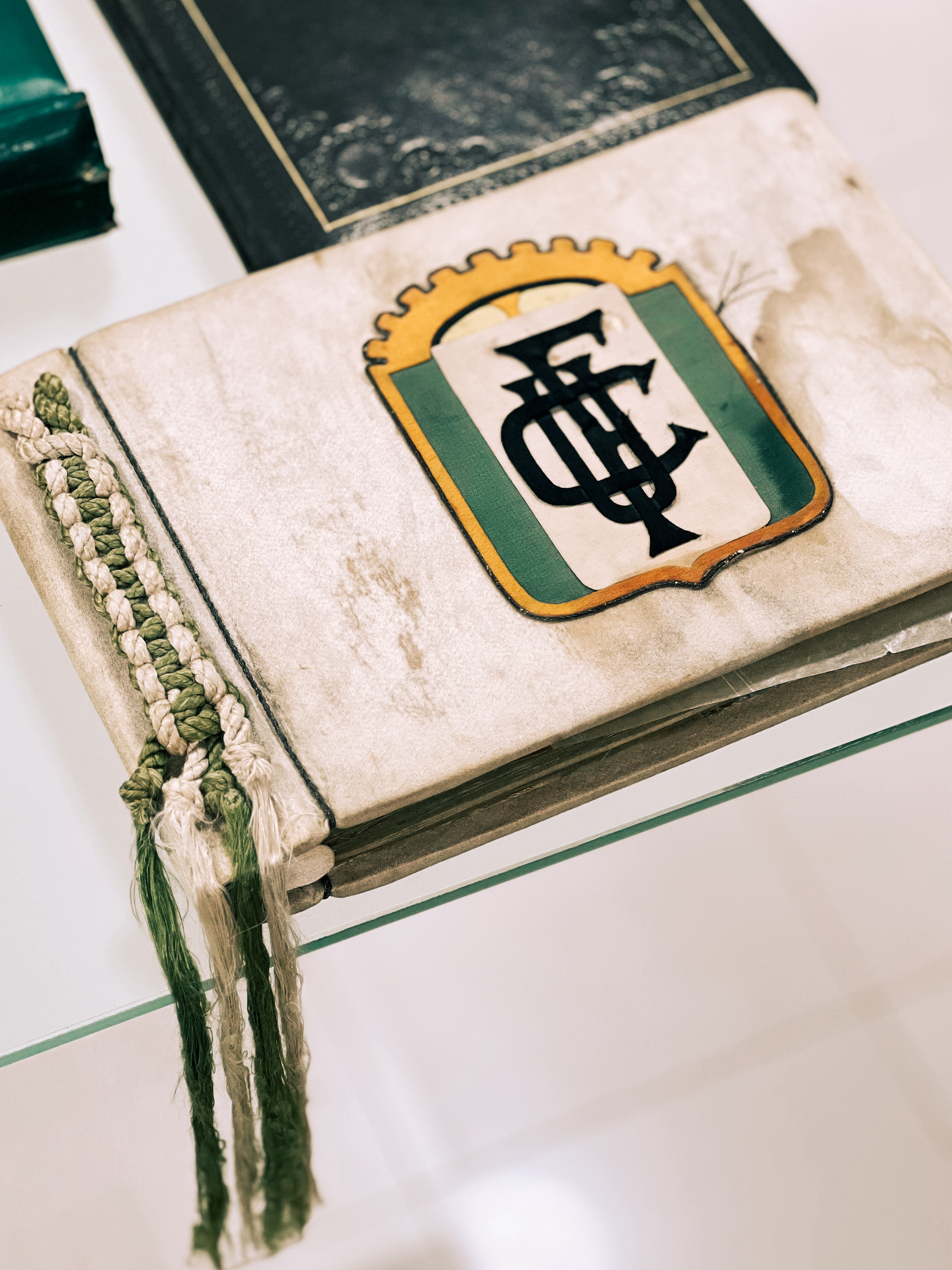 An old book with a tattered cover and a coat of arms featuring a stylized monogram lies on a glass shelf, a braided bookmark extending from its pages.