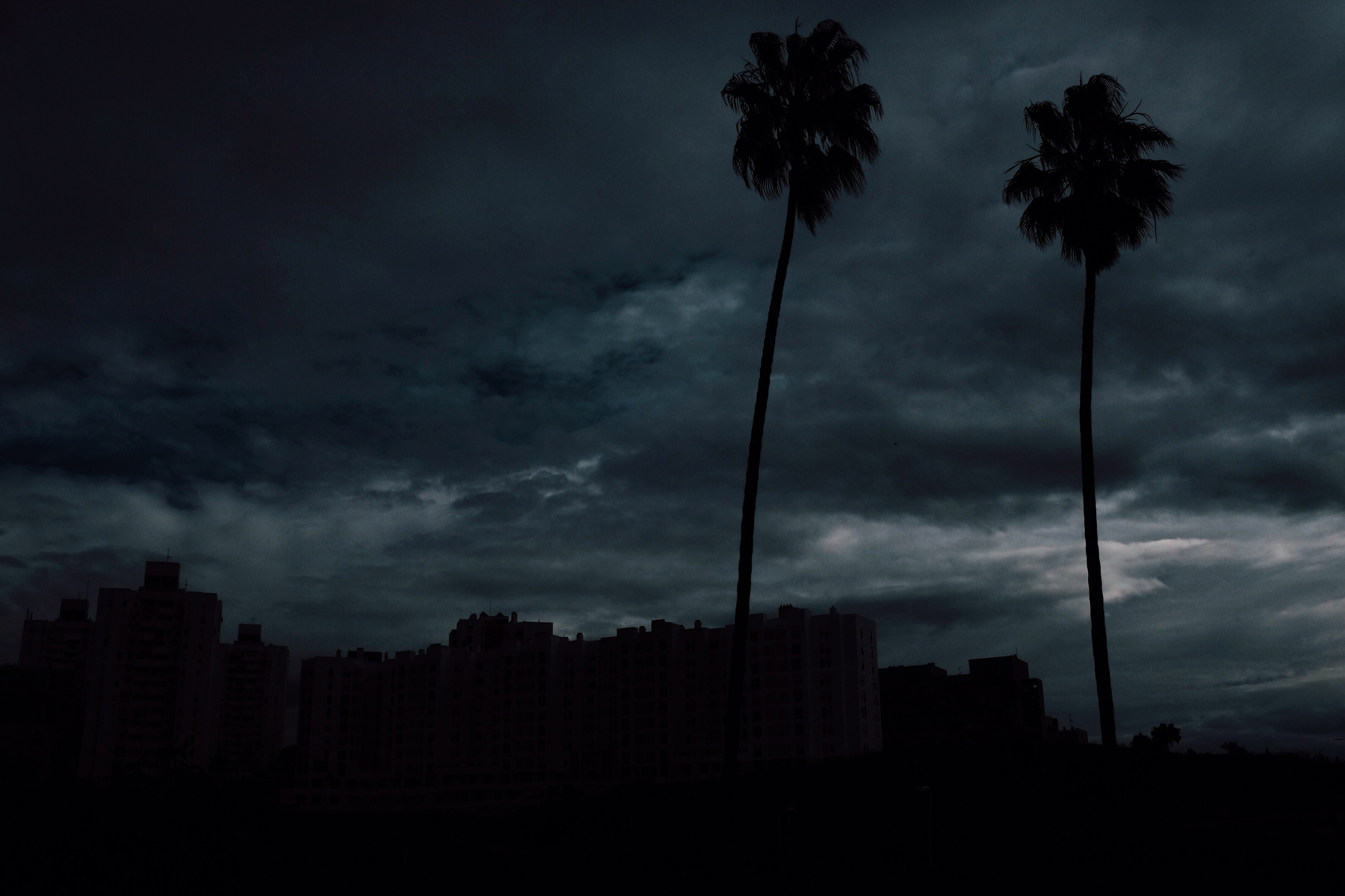 A silhouette of palm trees against a dark, cloudy sky with the outline of buildings in the background.