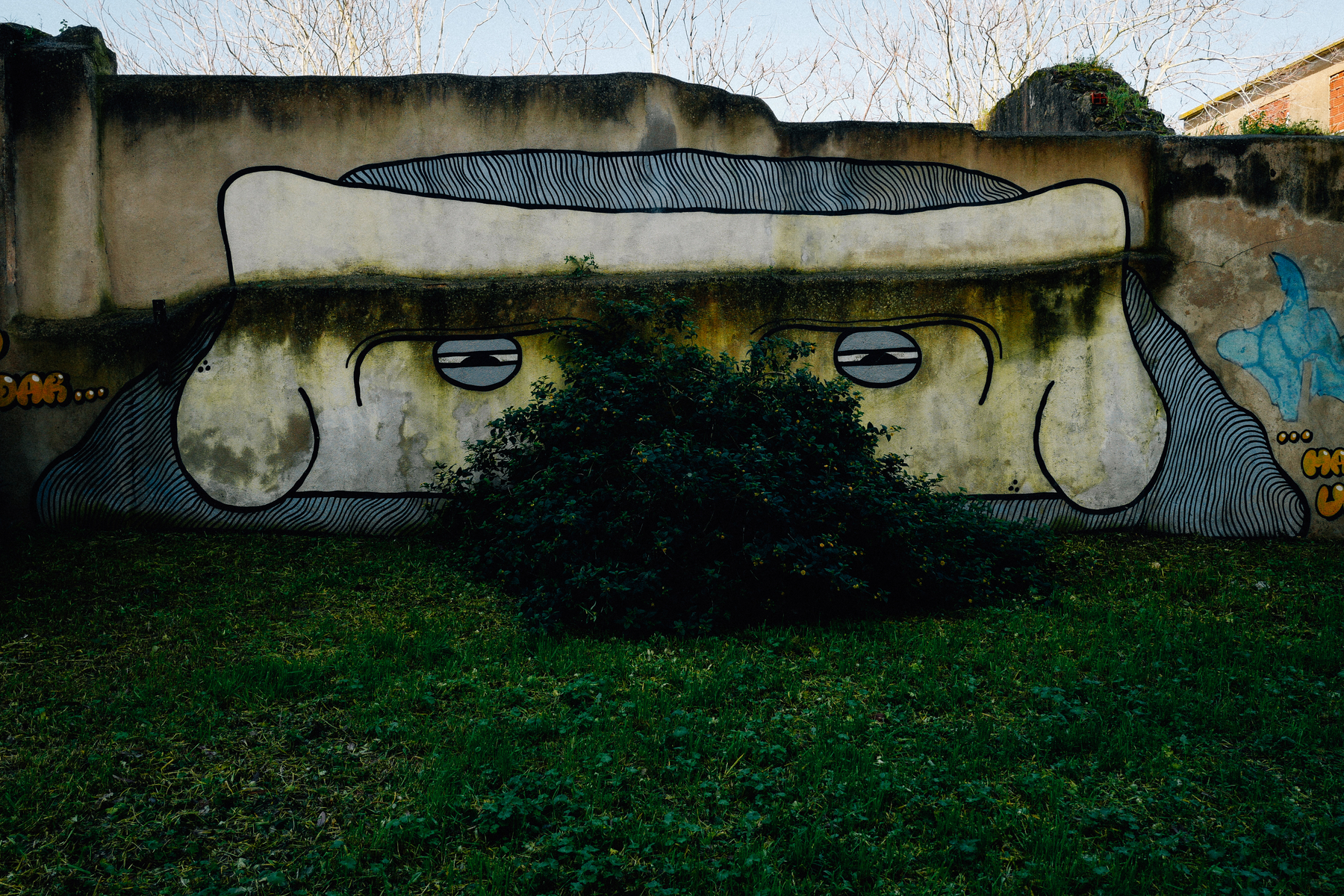 Graffiti on a wall depicting a stylized face with squinted eyes and a flat, straight-lined mouth integrated into the wall’s architecture above a bush, creating the appearance of a large face with a moustache.