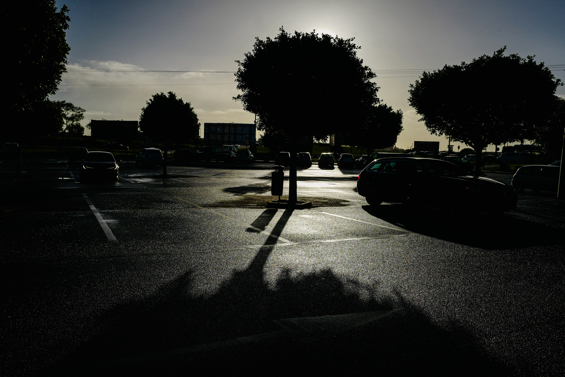 A parking lot with vehicles, silhouetted trees, and shadows cast on the ground by a low sun.
