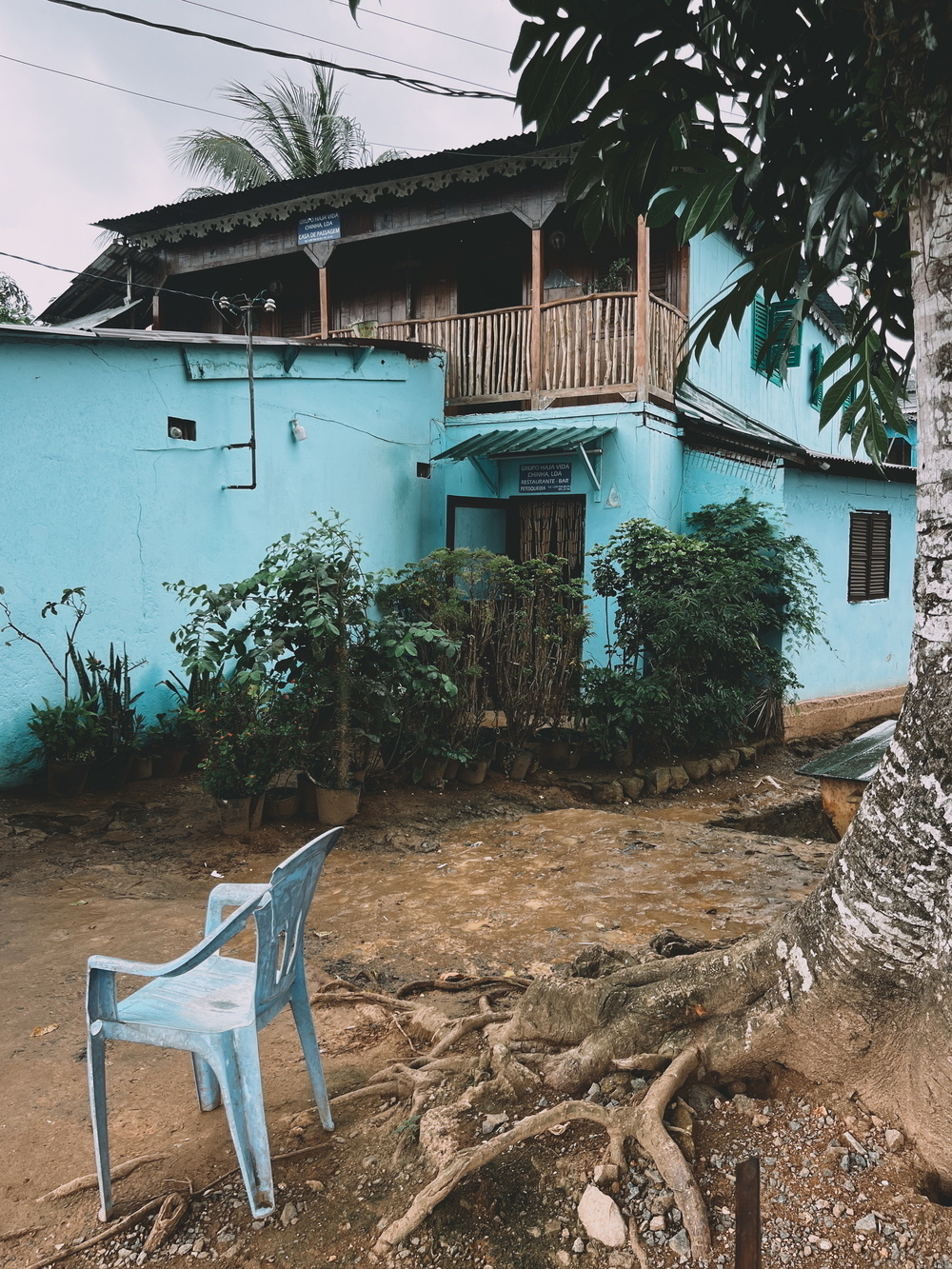 A turquoise painted building featuring a wooden second floor with a railing. In front of the building is a garden area with multiple potted plants, and a blue plastic chair sitting next to a large tree with visible roots.