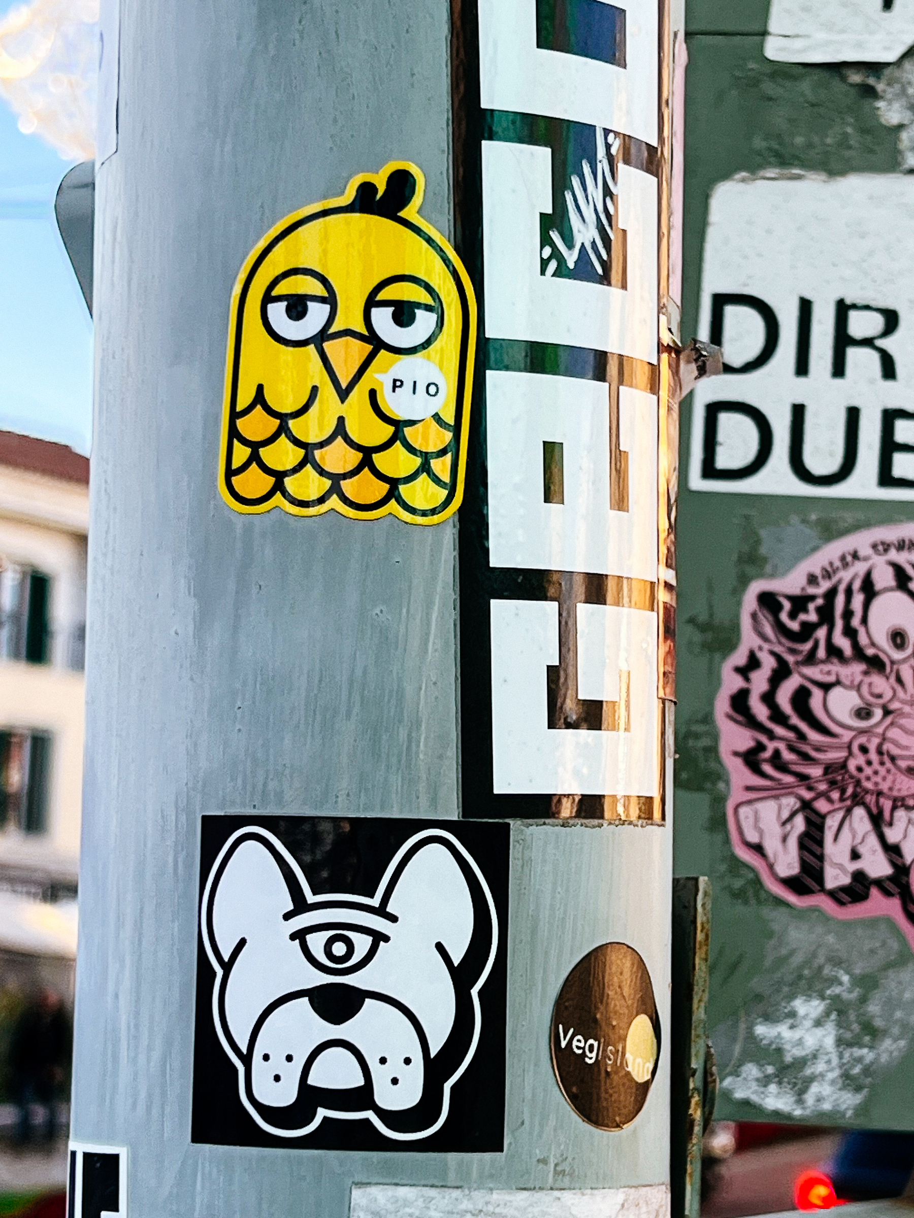 A yellow bird’s face, cute. And a one eyed dog. Both stickers. 