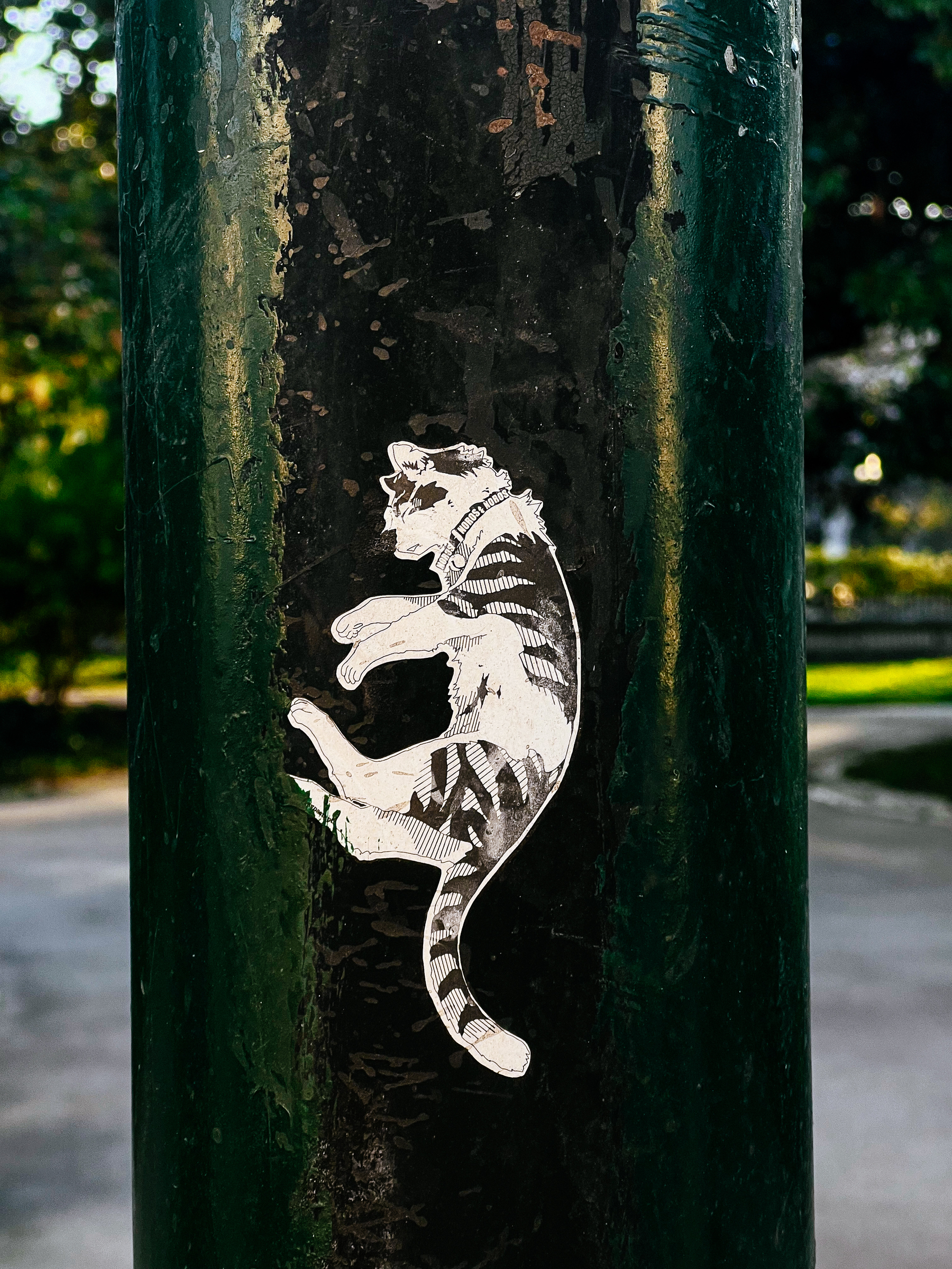 A weathered sticker depicting a striped cat in a playful pose is adhered to a chipped and scratched green pole, set against a blurred background of greenery.