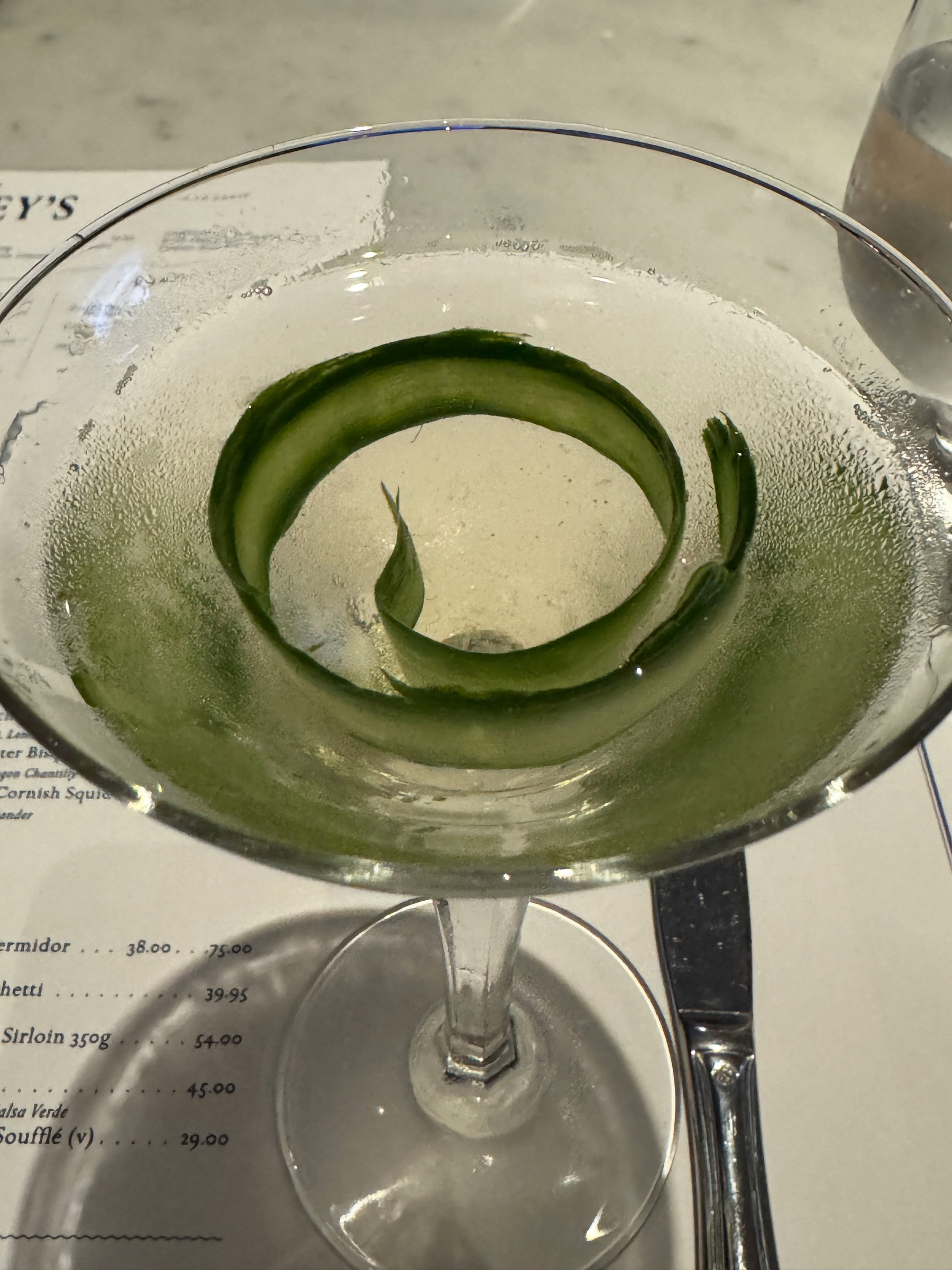 A clear martini served ice-cold in a stemmed glass, garnished with a long ribbon of cucumber curling through the drink, emphasizing its crisp, clean character.