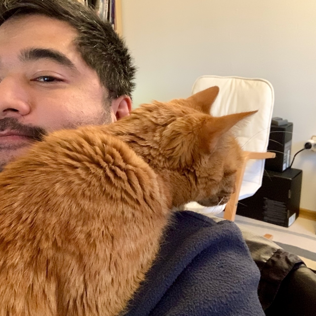 Merry the cat on Jonathan’s shoulder