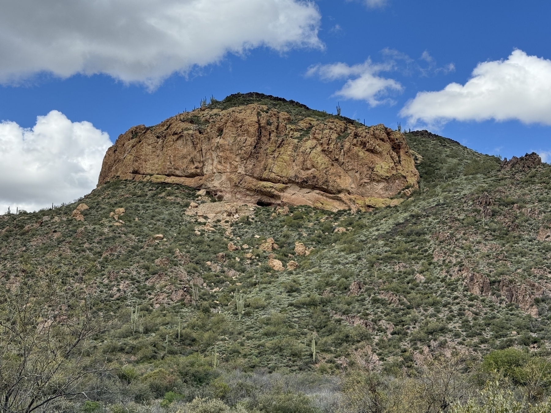 A mountain in the Sonoran desert in the Phoenix area with lots of desert foliage growing up around its base. 