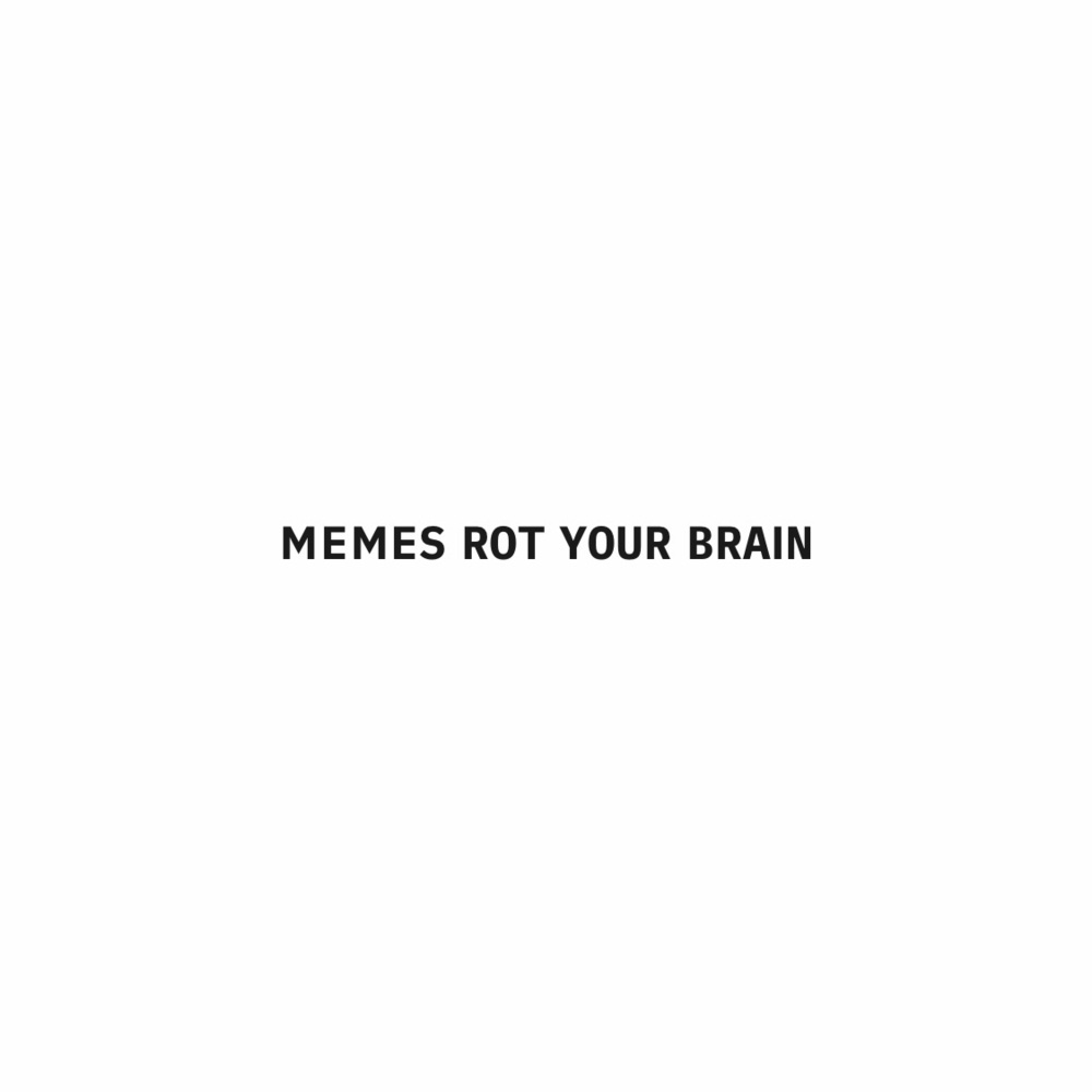 Black text on a white background reading “memes rot your brain” in capital letters.