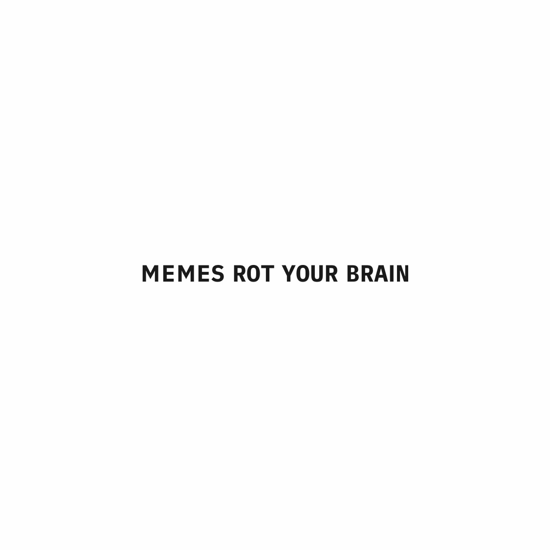 Black text on a white background reading “memes rot your brain” in capital letters.