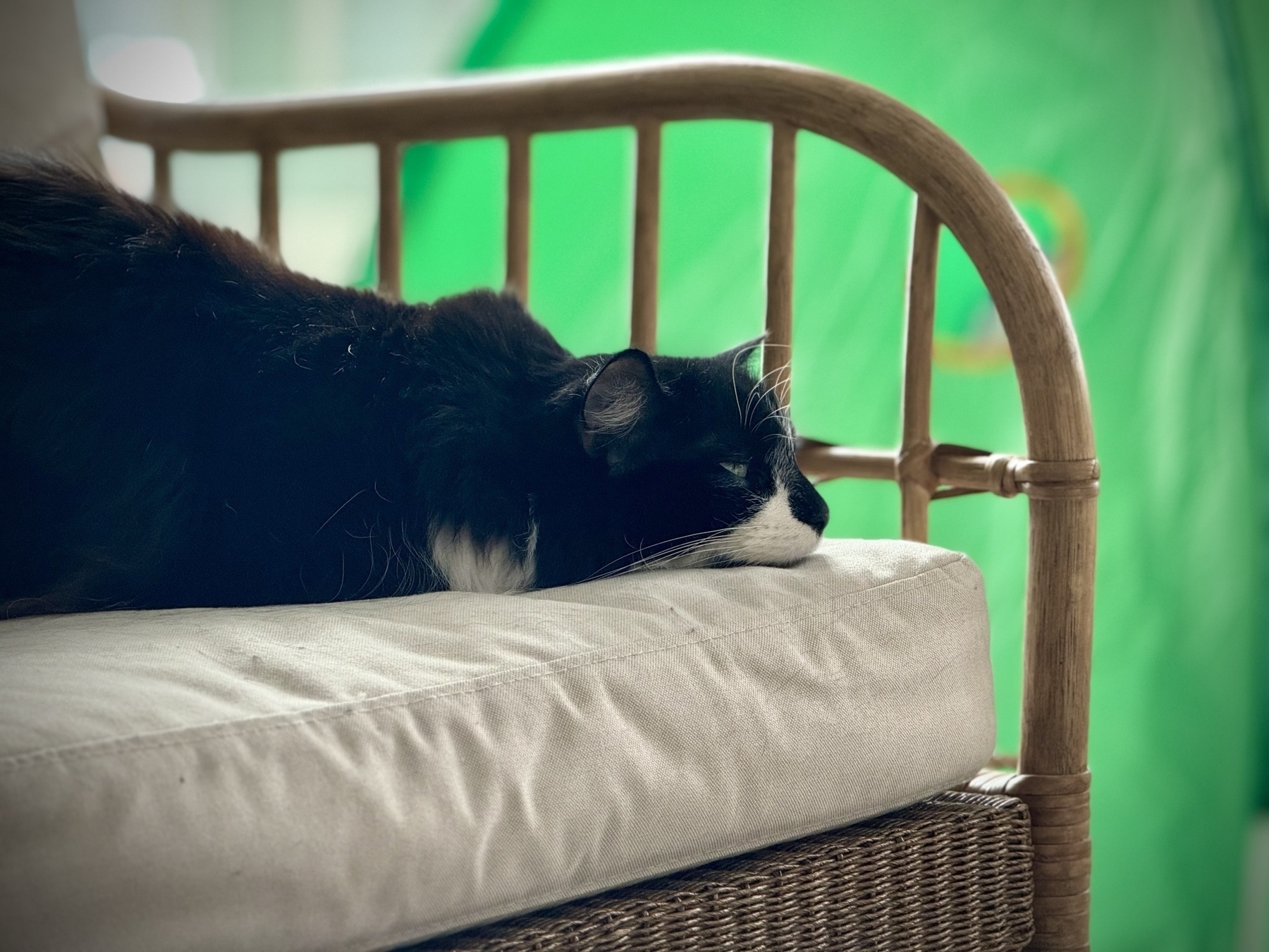 A black-and-white cat lies on a wicker chair with his head extended past his shoulders, his eyes barely open.
