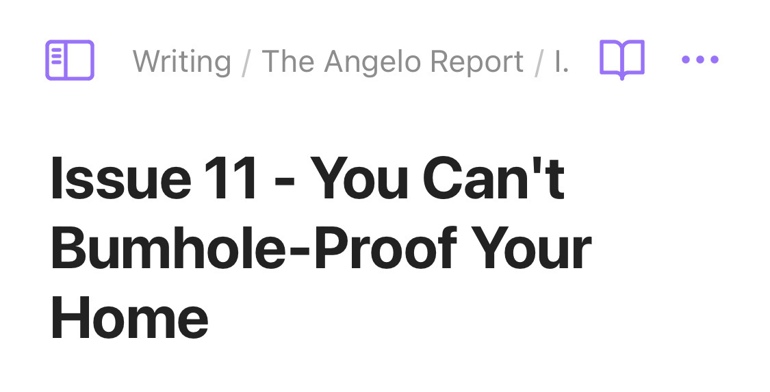 A publication titled "Issue 11 - You Can't Bumhole-Proof Your Home" is displayed, indicating content discussed in "The Angelo Report."